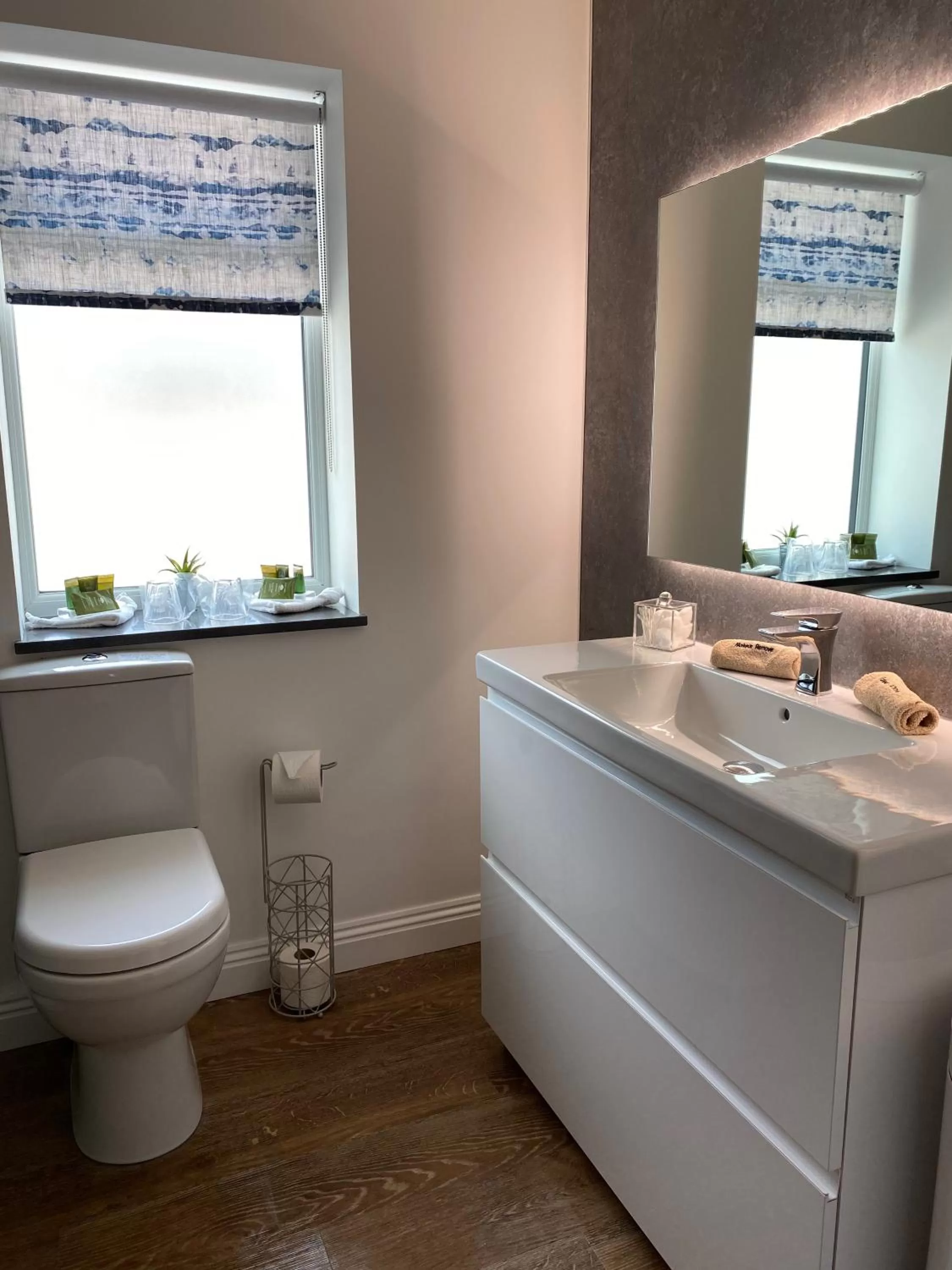 Bathroom in Toppesfield House B&B