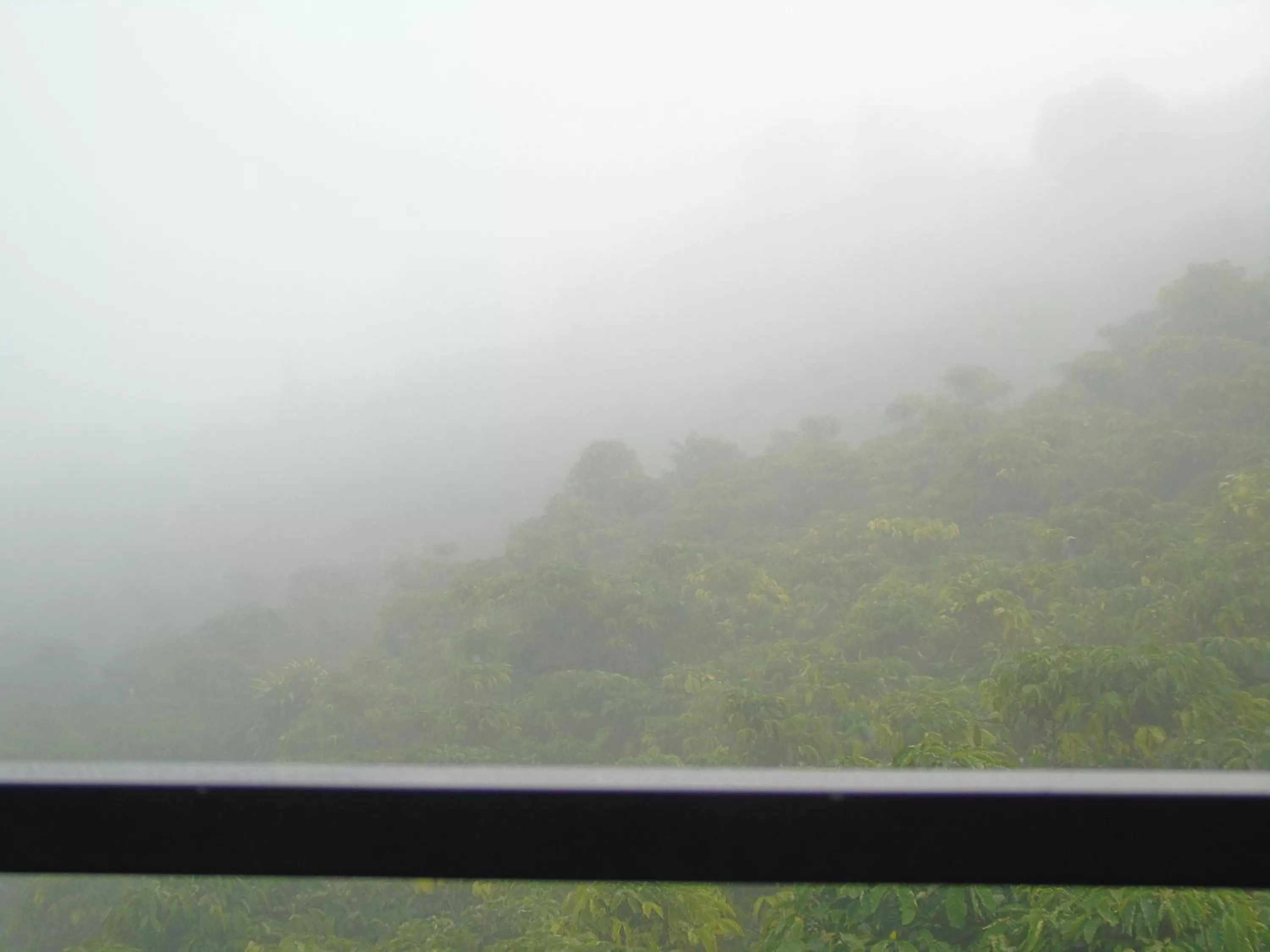 Natural landscape, Mountain View in Mùa Tím Villa