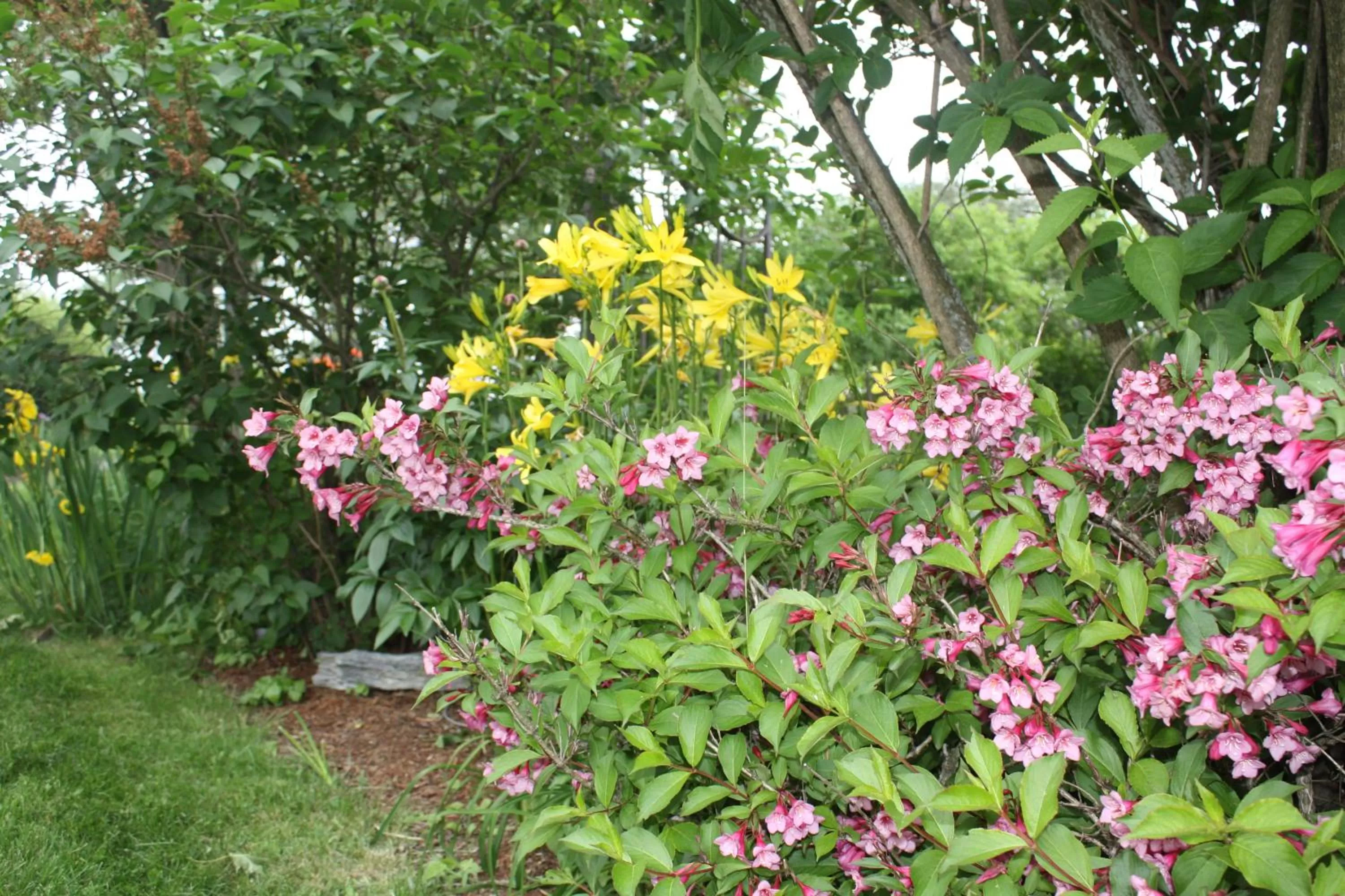 Garden in Homeport Historic B&B