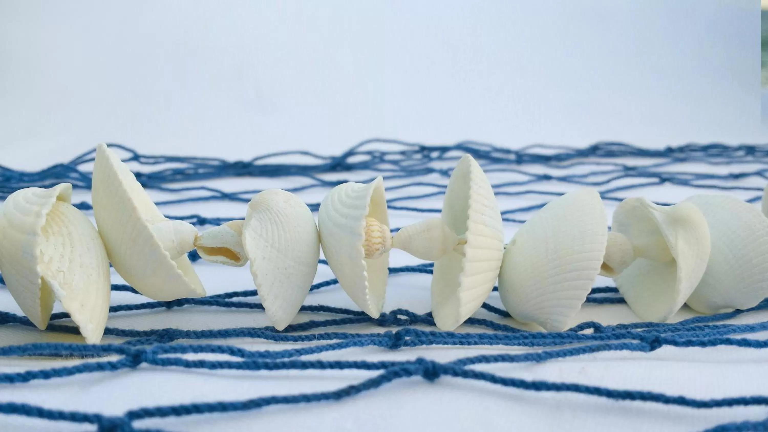 Restaurant/places to eat in Grand Hotel Del Mare Resort & Spa