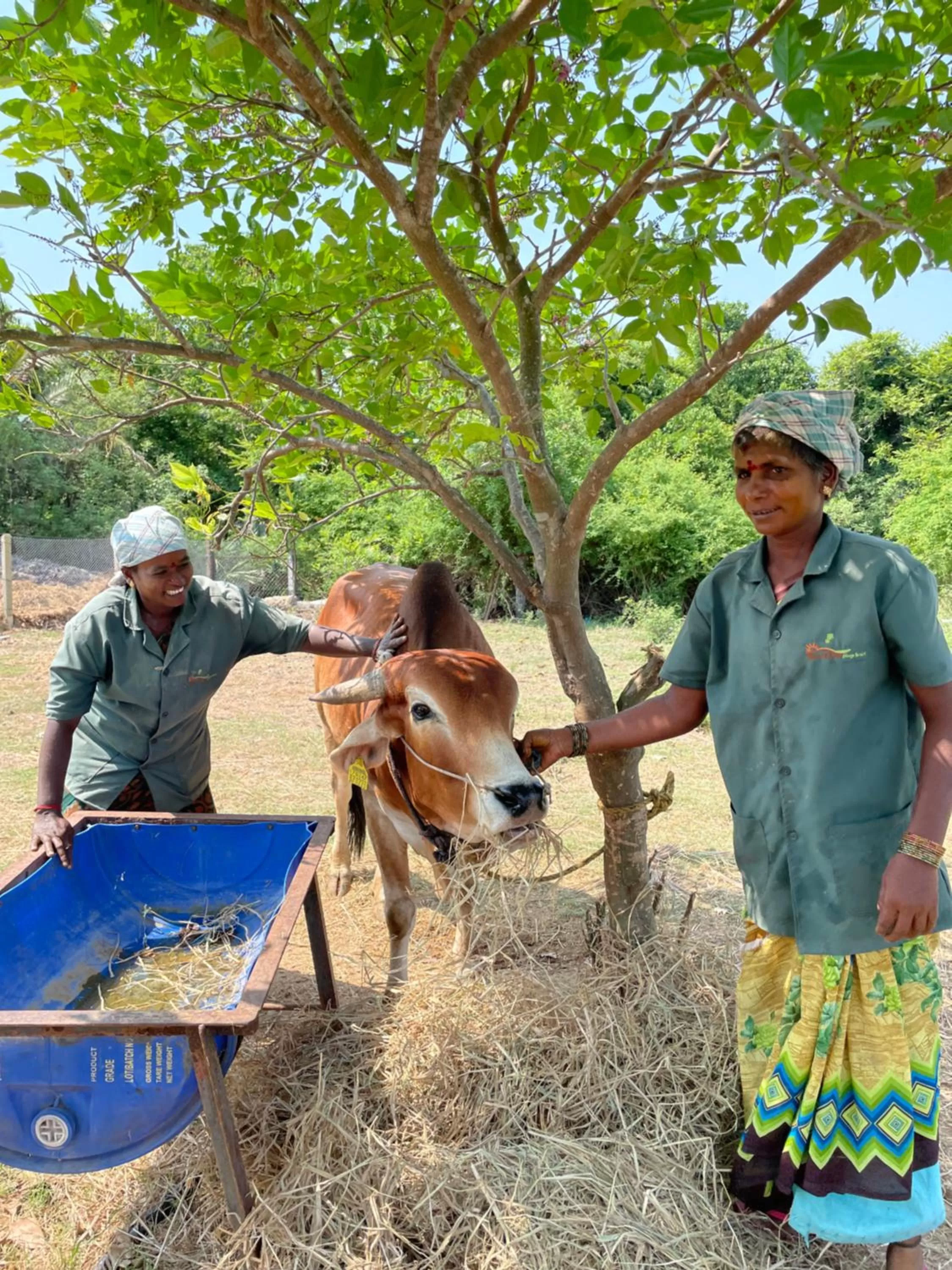Marutham Village Resort