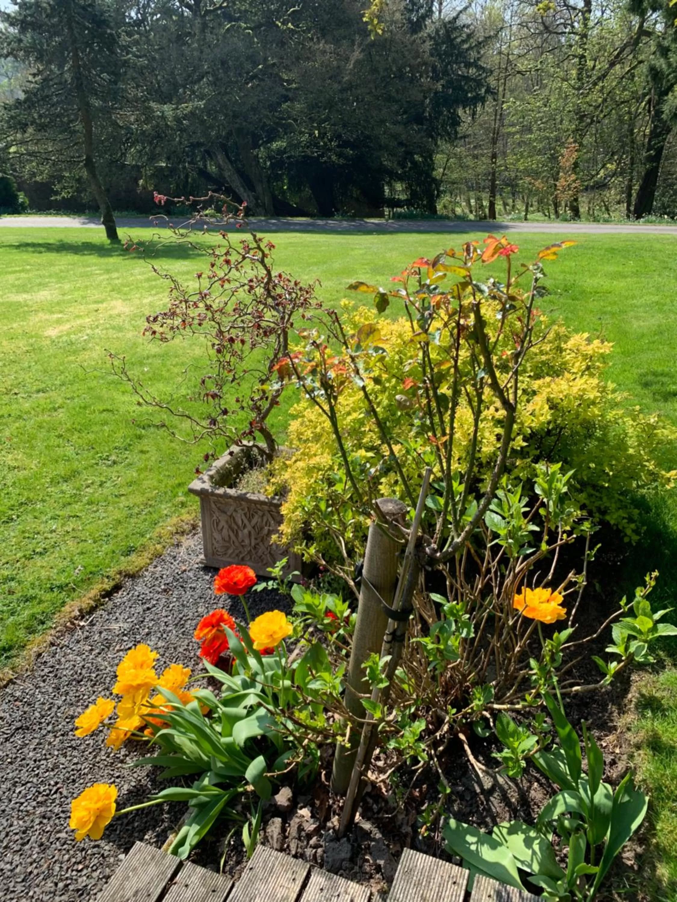 Garden in West Plean House