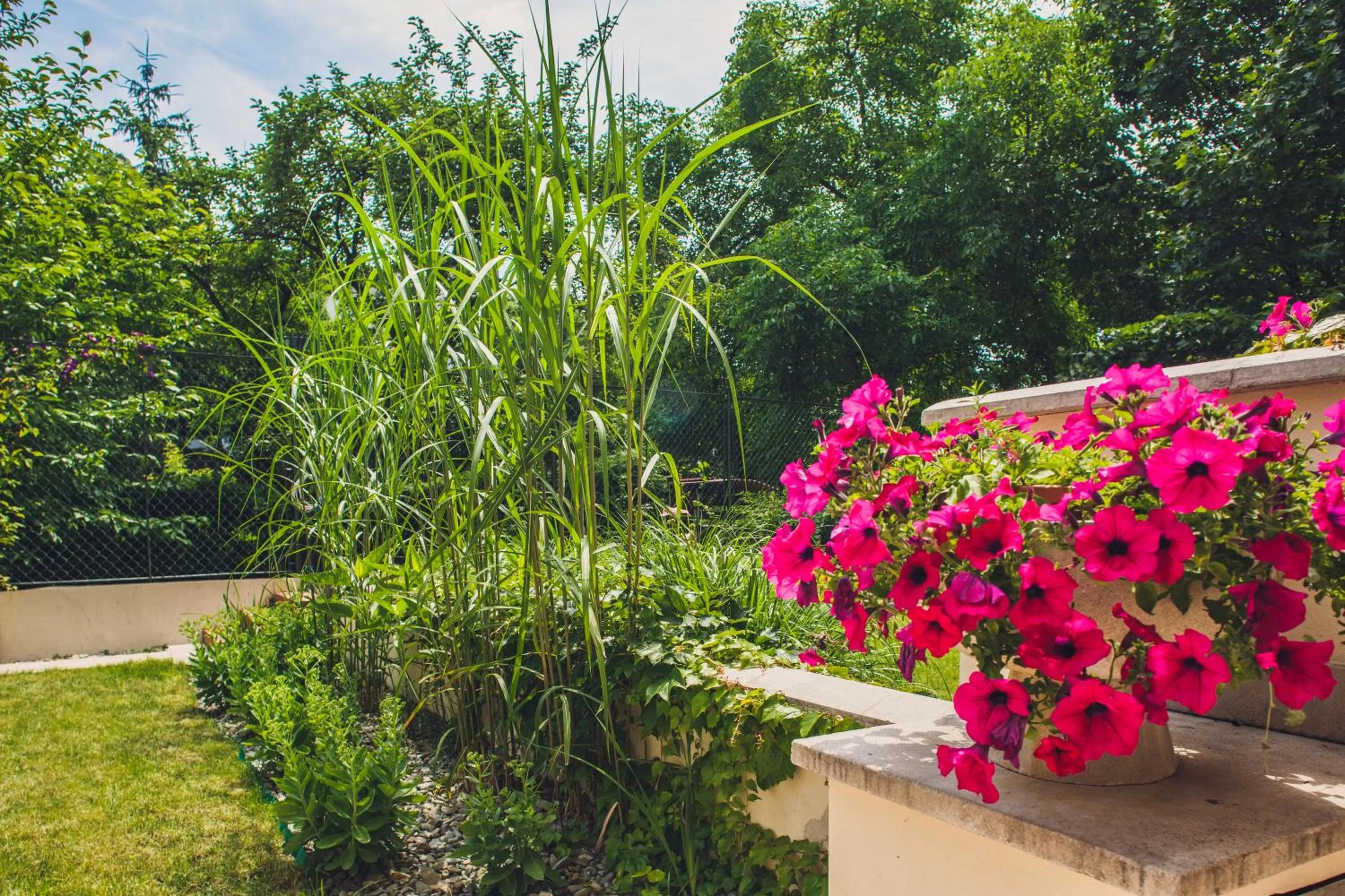 Garden view in 4Seasons﻿ Apartments Cracow