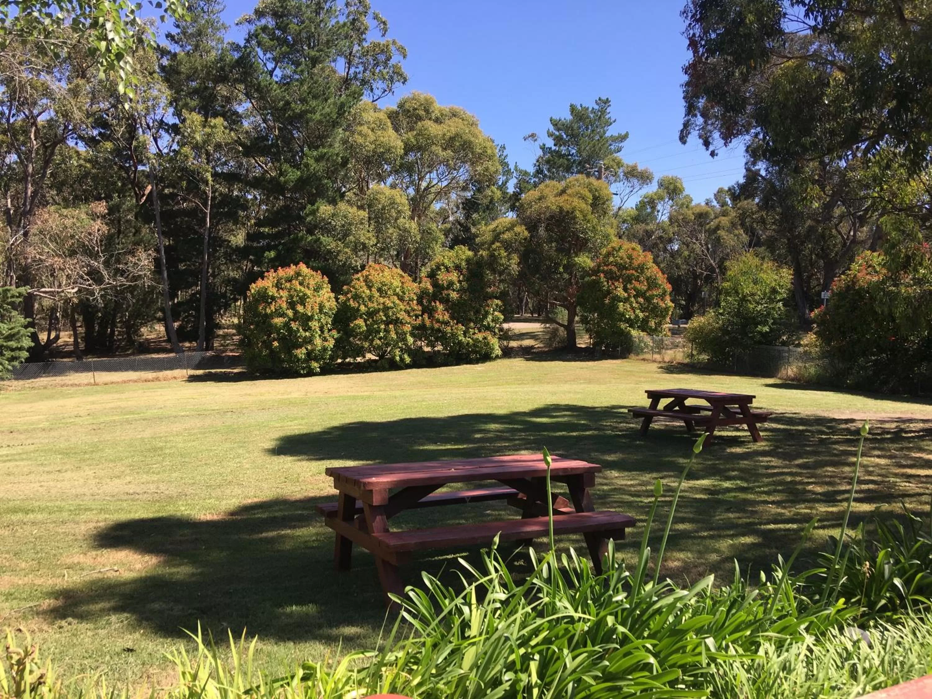 Garden view in Black Forest Motel
