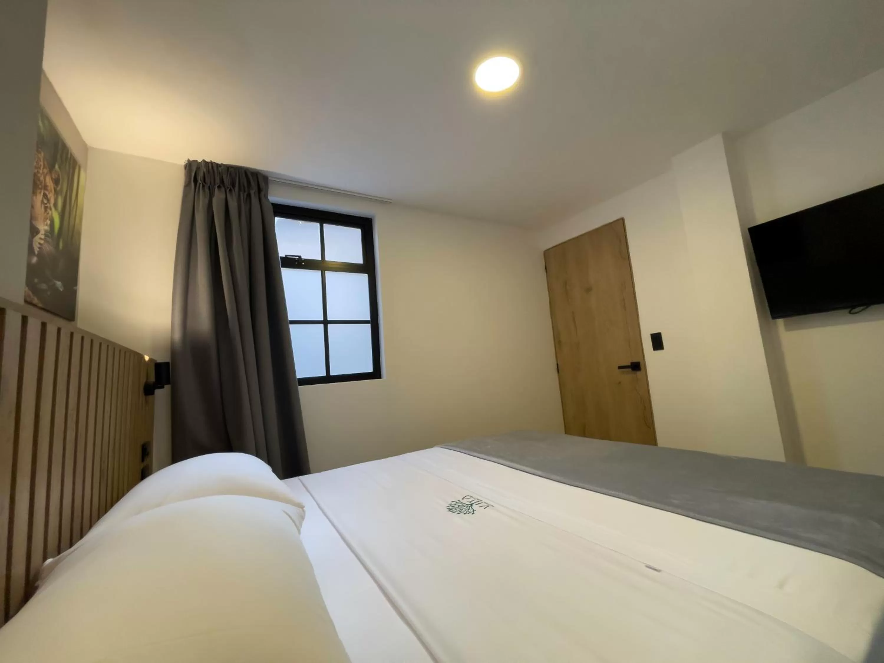 TV and multimedia, Bed in Vita Hotel Boutique - Aire Acondicionado & Desayuno