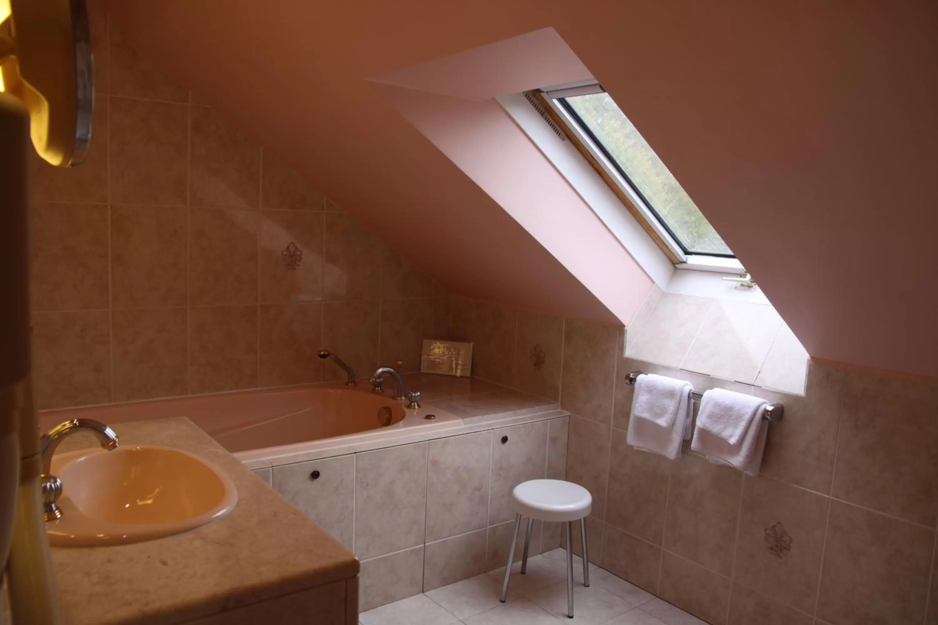 Bathroom in Château Des Bondons EI