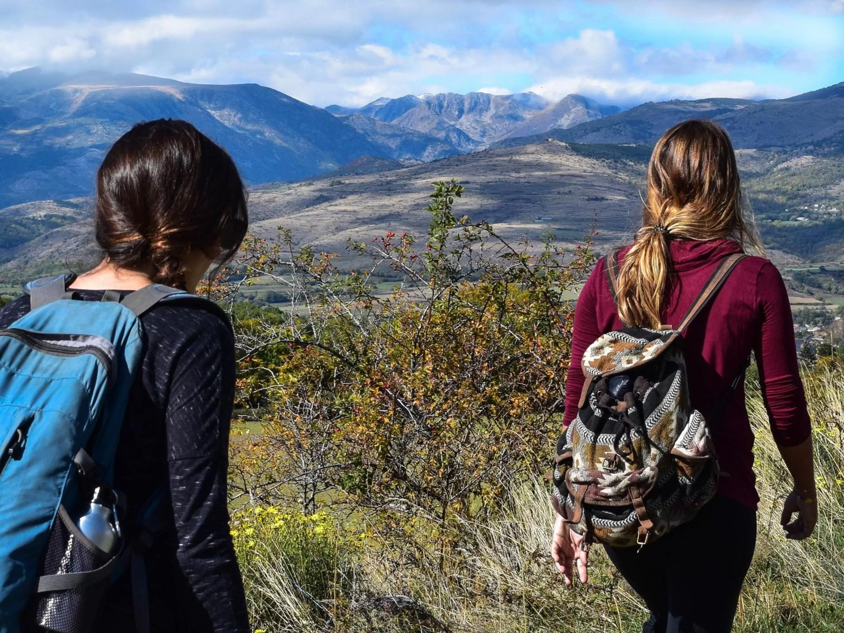 Natural landscape in Parkhotel Schmallenberg