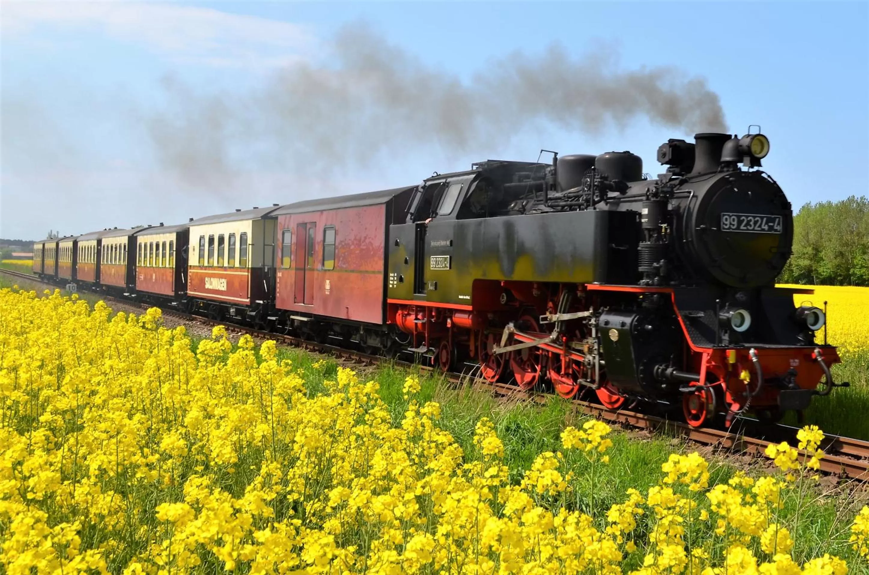 Activities in Hotel Residenz Waldkrone Kühlungsborn