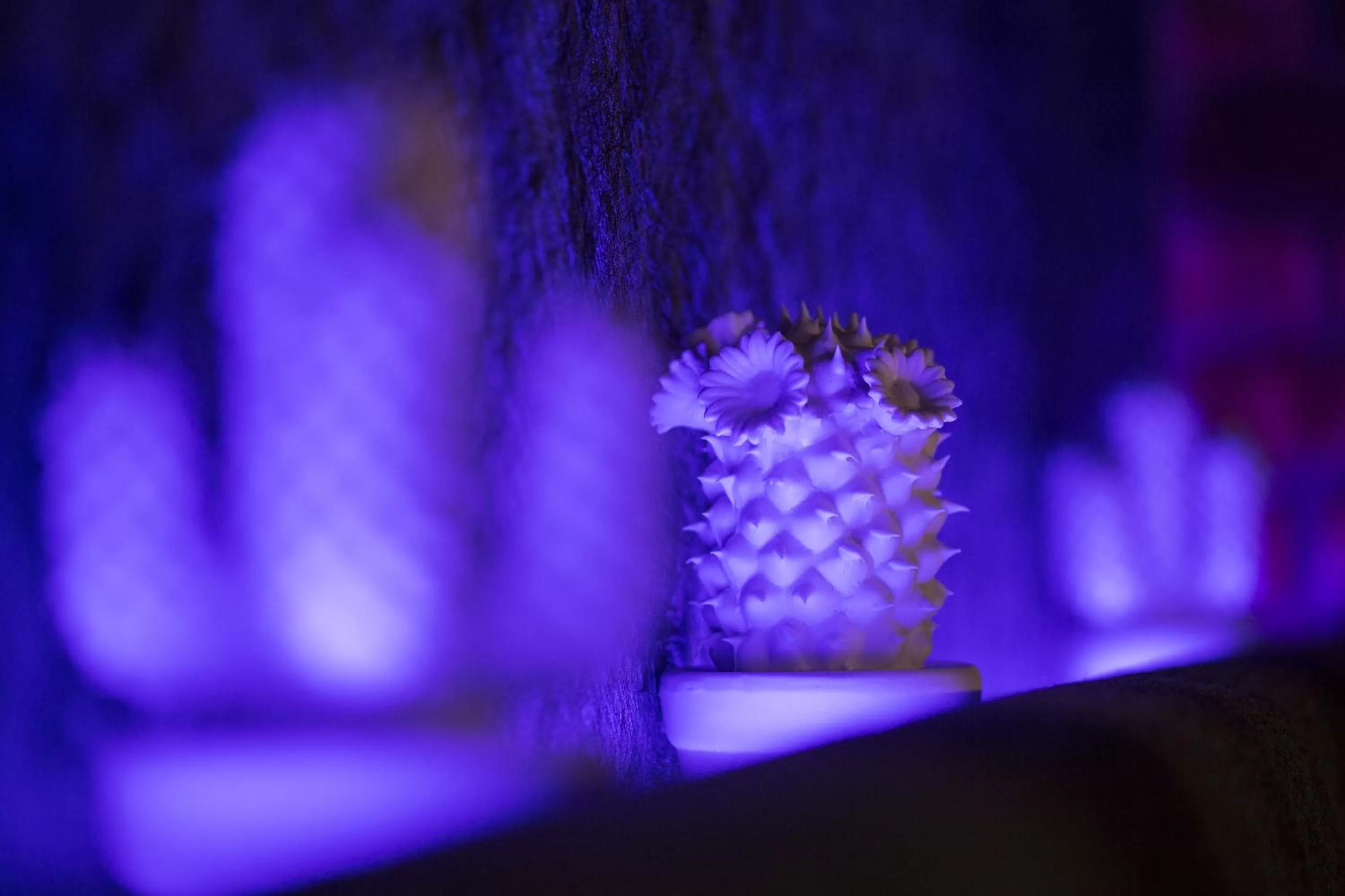 On site in pentahotel Brussels City Centre