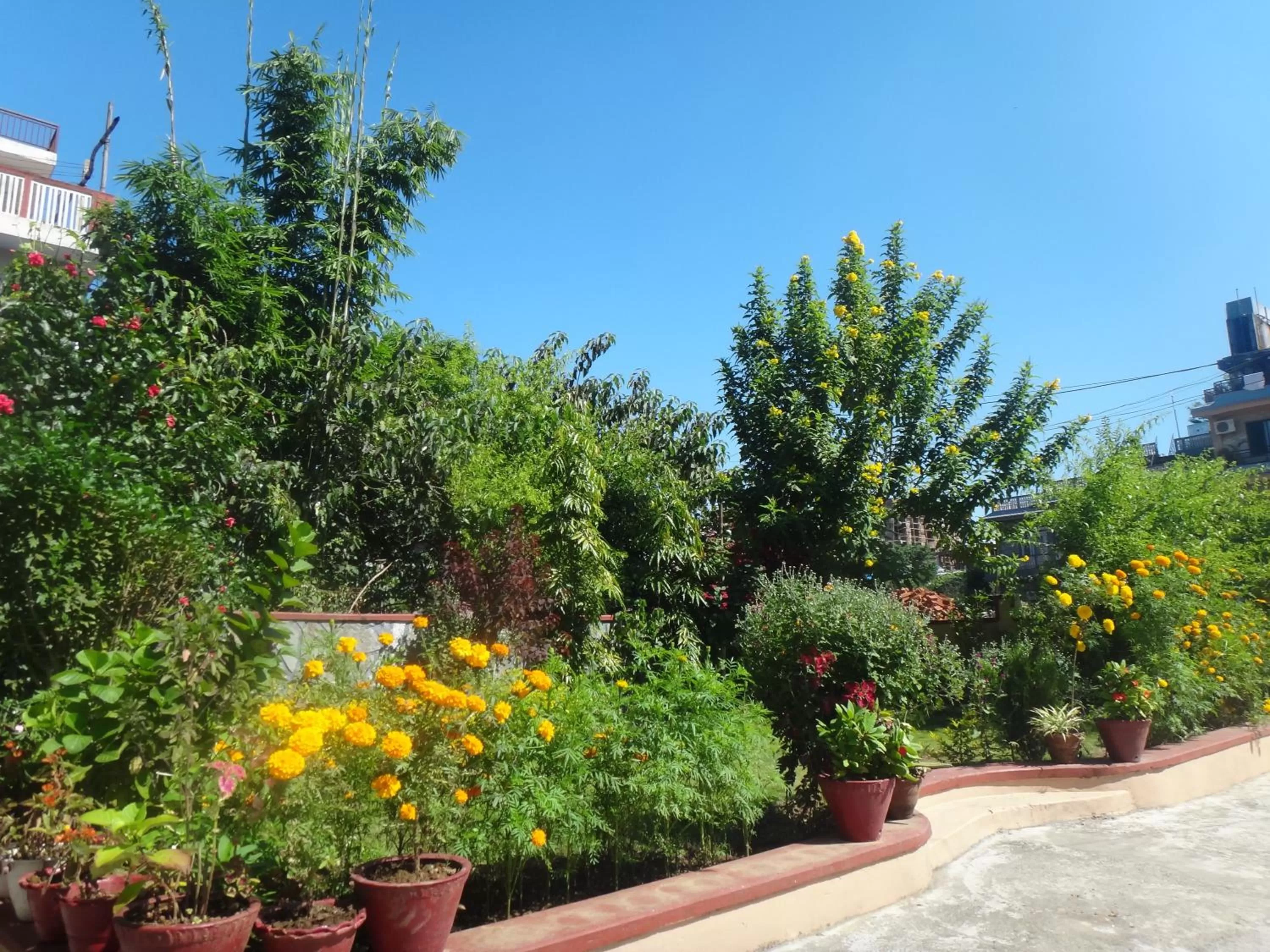 Garden in Hotel Diplomat