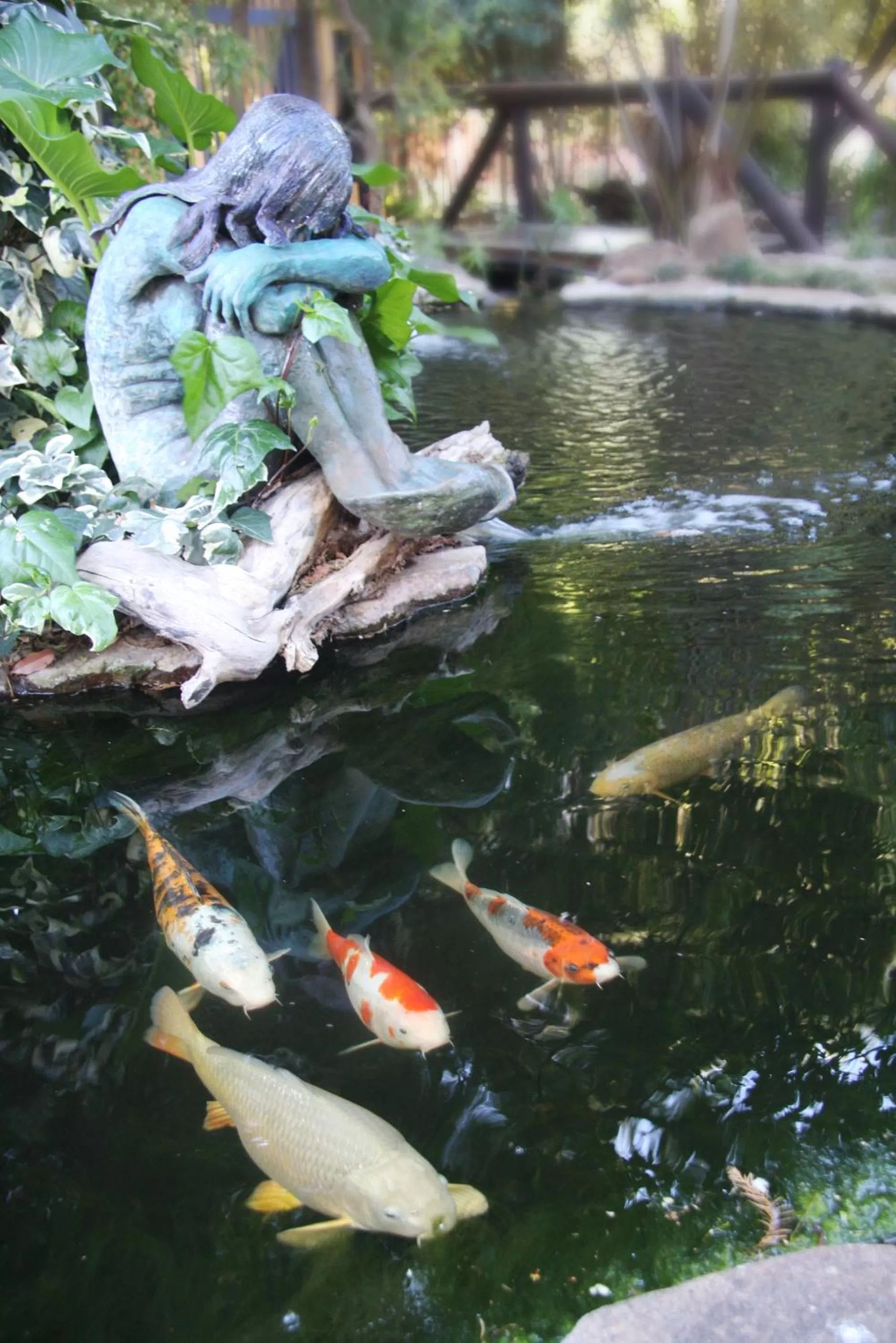 Garden in Jedidja Bed and Breakfast