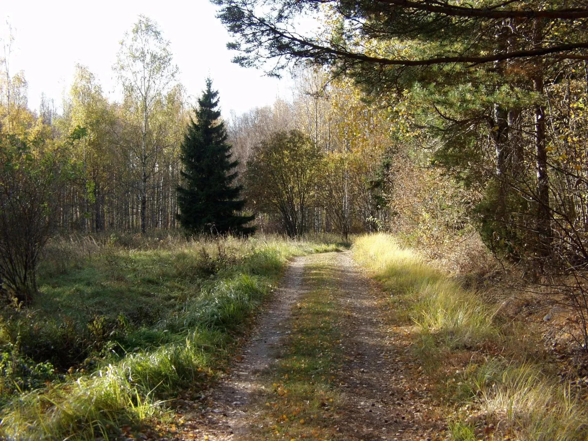 Area and facilities in Hotel & Cafe Lanterna