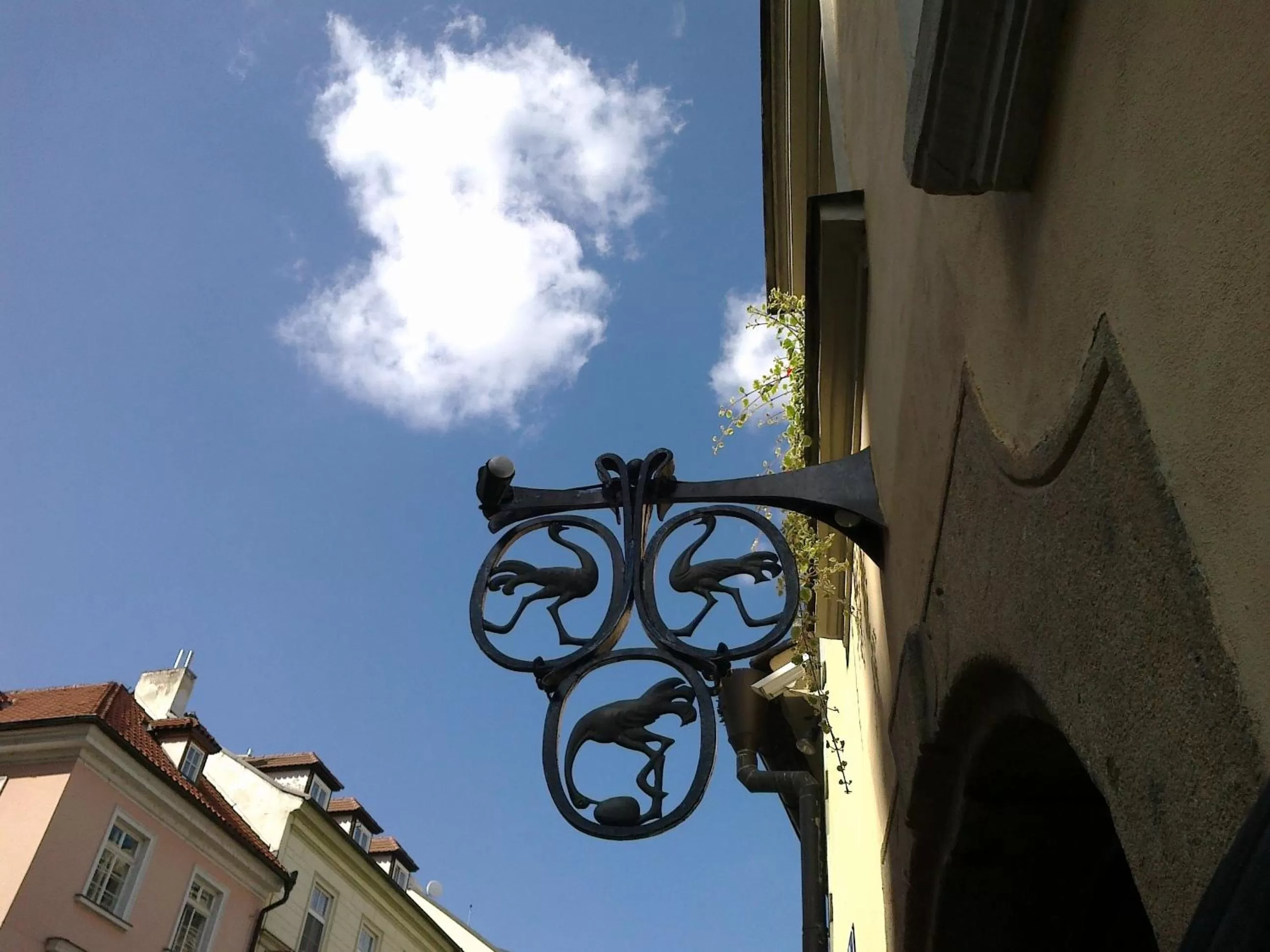 Bird's eye view in Hotel U 3 Pstrosu