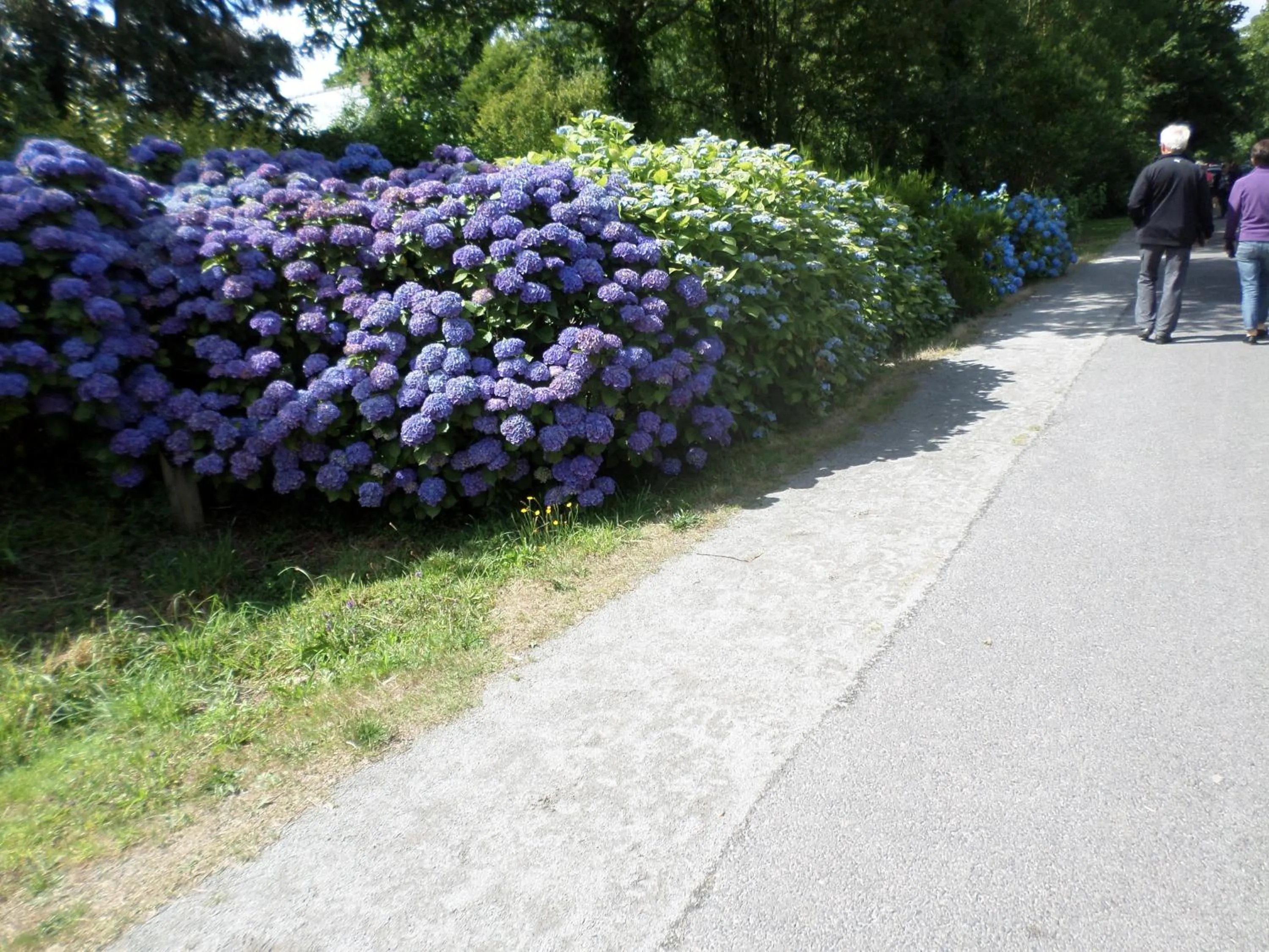 Day in Le Ludixarium