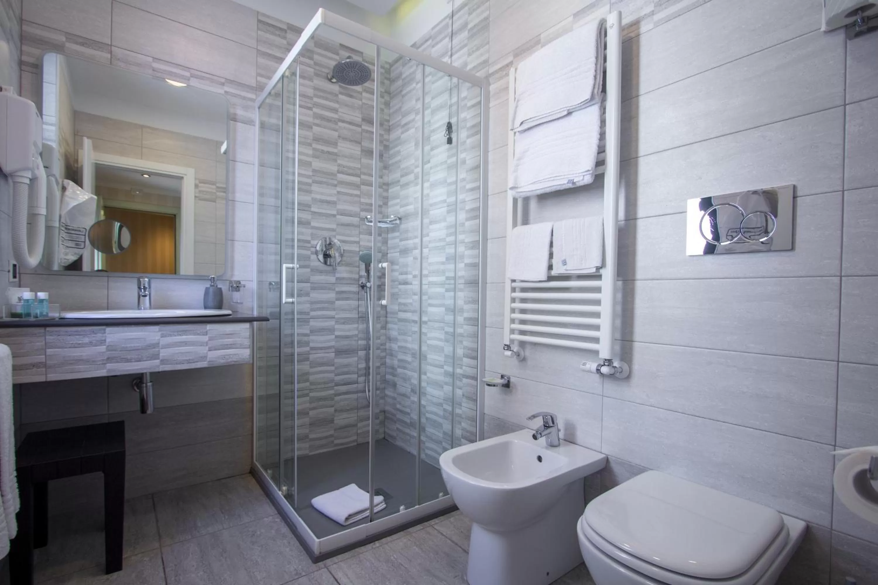 Toilet in Hotel Flora