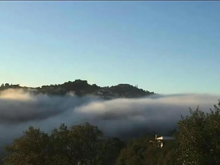 Natural landscape in Hostal Ondina