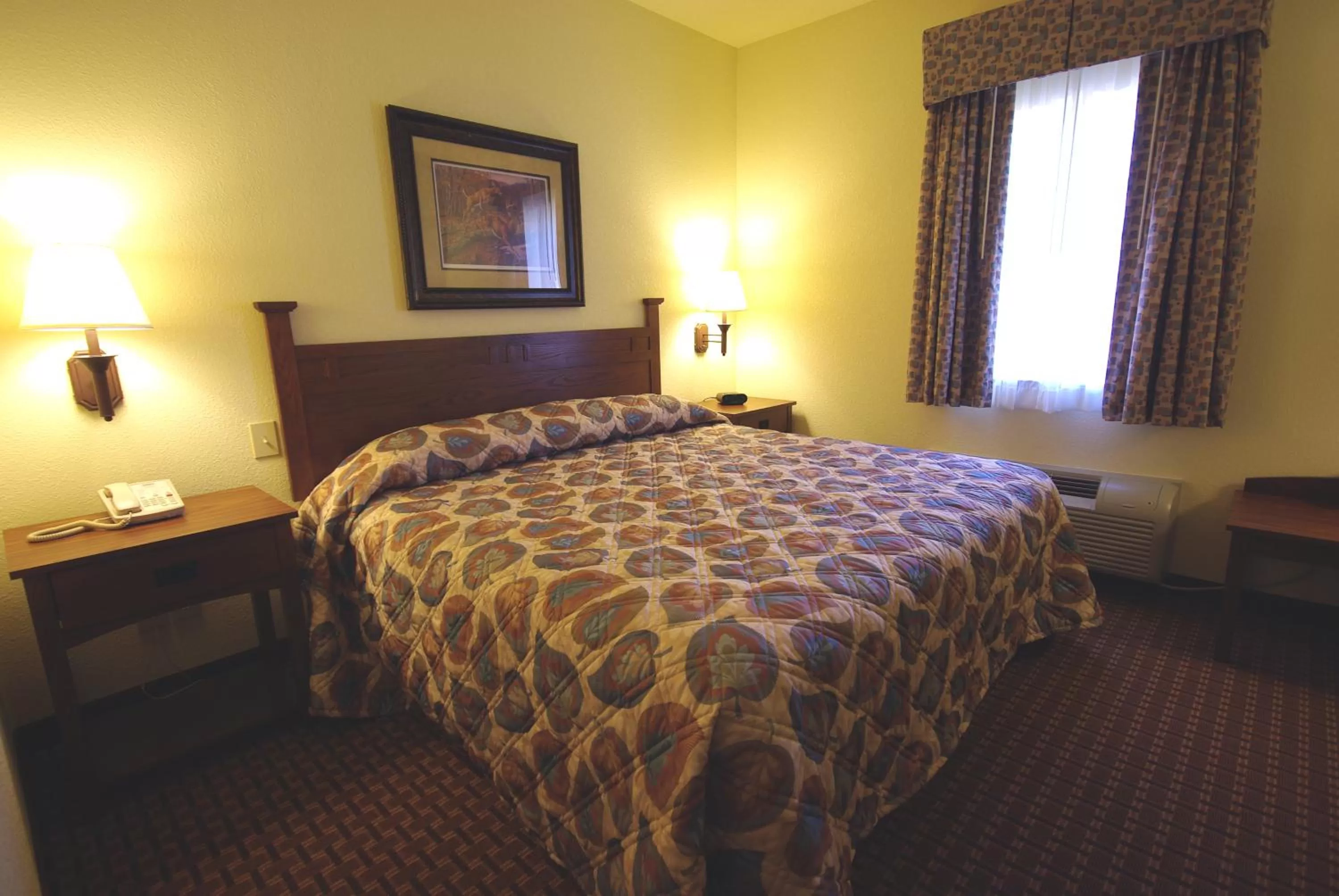Bed in Mountain Inn & Suites Airport - Hendersonville