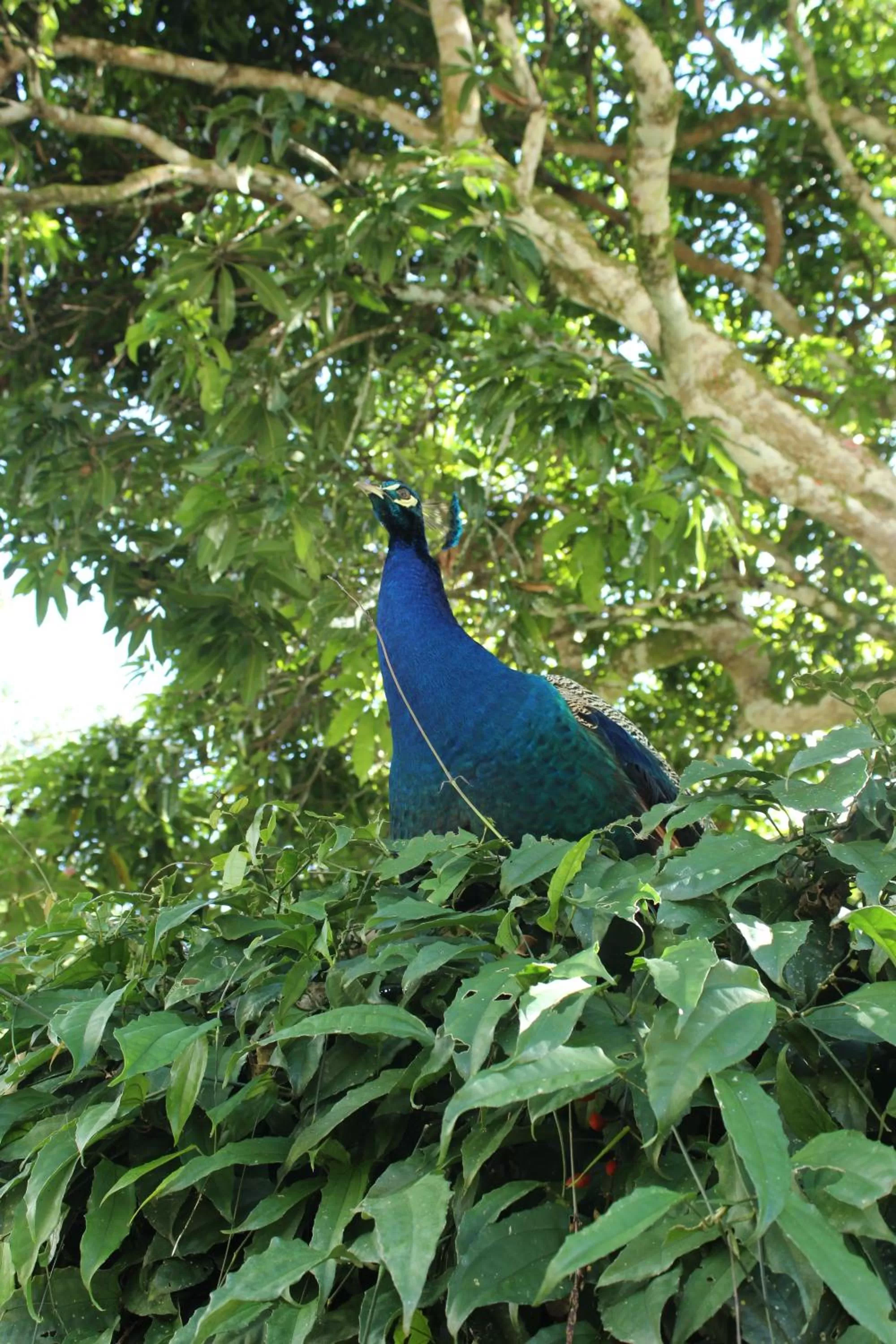 Natural landscape in Rio Escondido