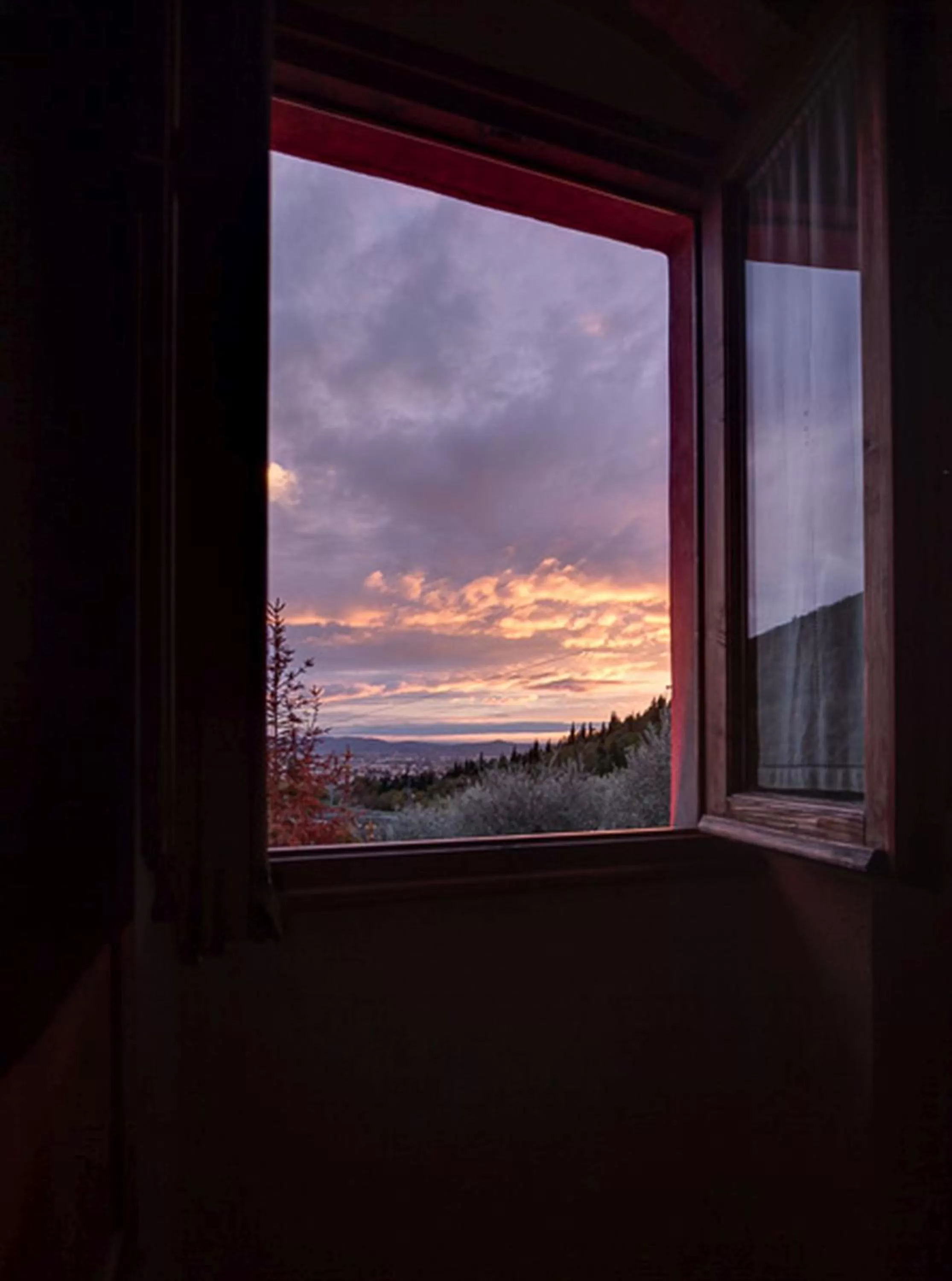 View (from property/room) in Ulivo Rosso