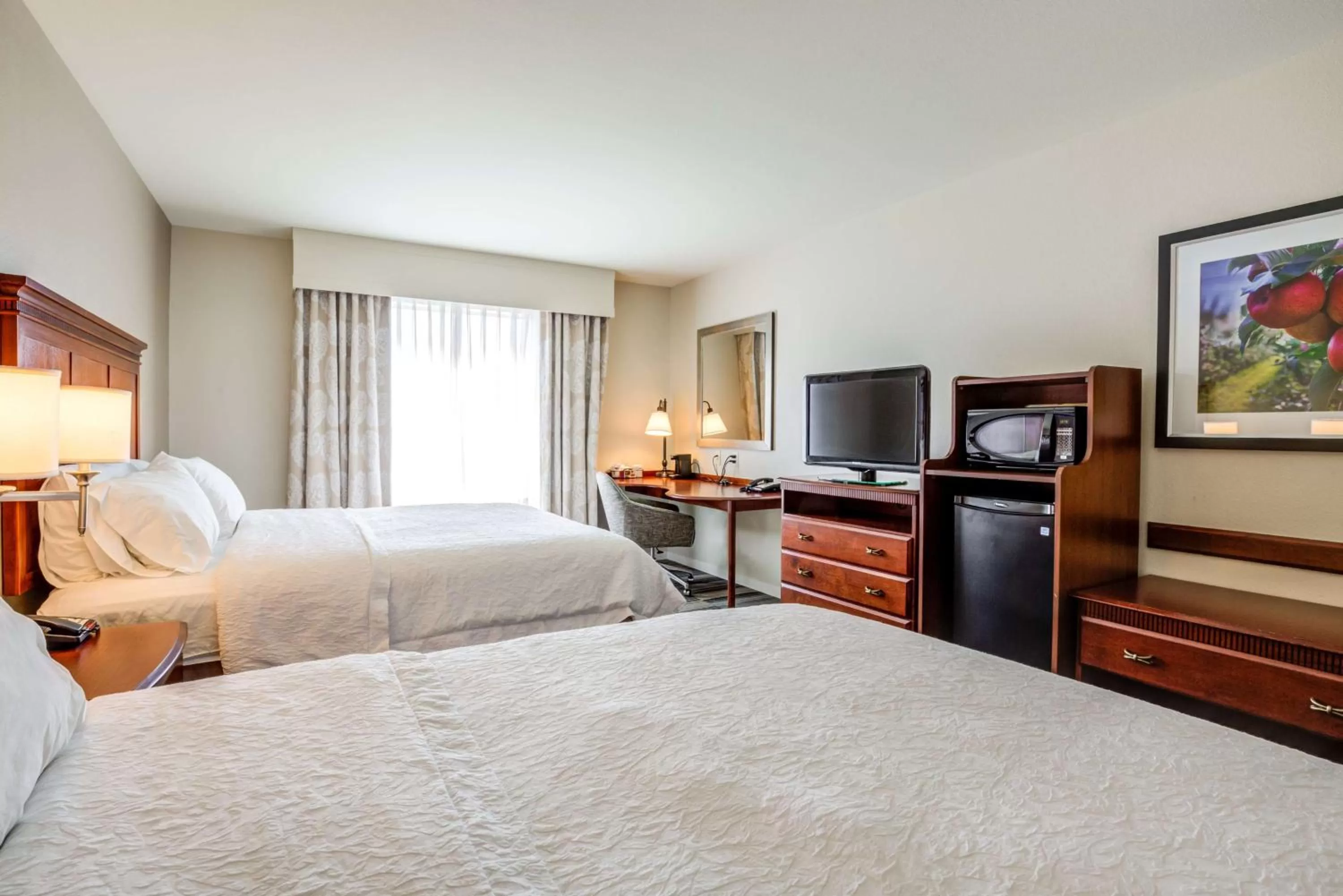 Bed in Hampton Inn & Suites Westford-Chelmsford