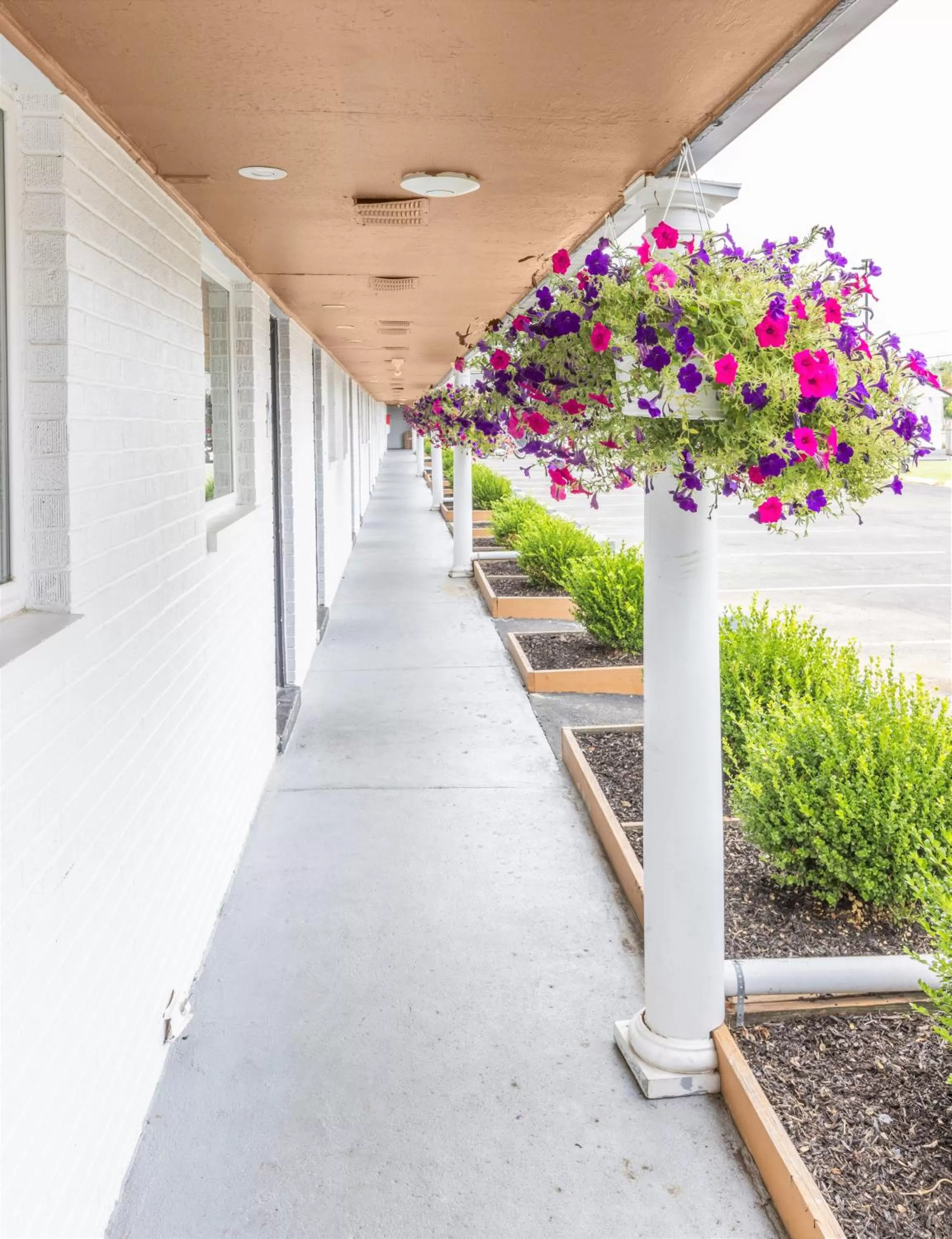 Spring in Butler Inn