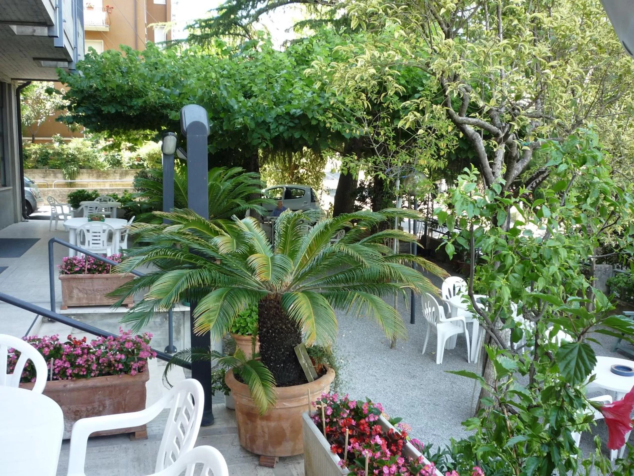 Patio in Hotel Montecarlo