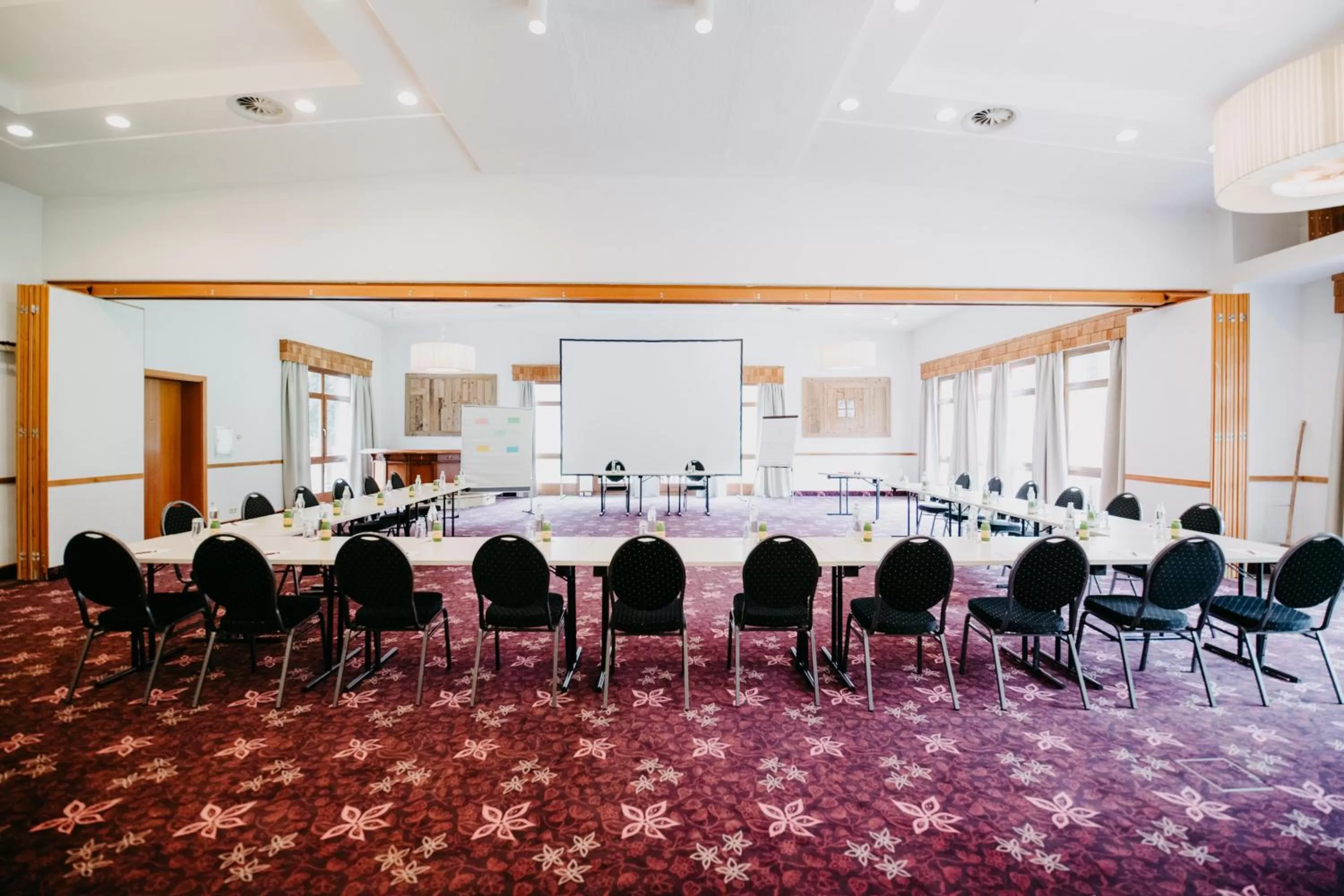 Business facilities in Vitalhotel Gosau