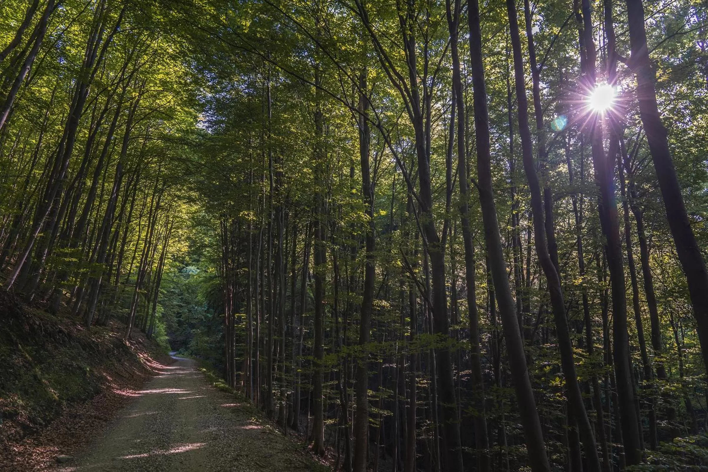 Guest House Pri Gondoli