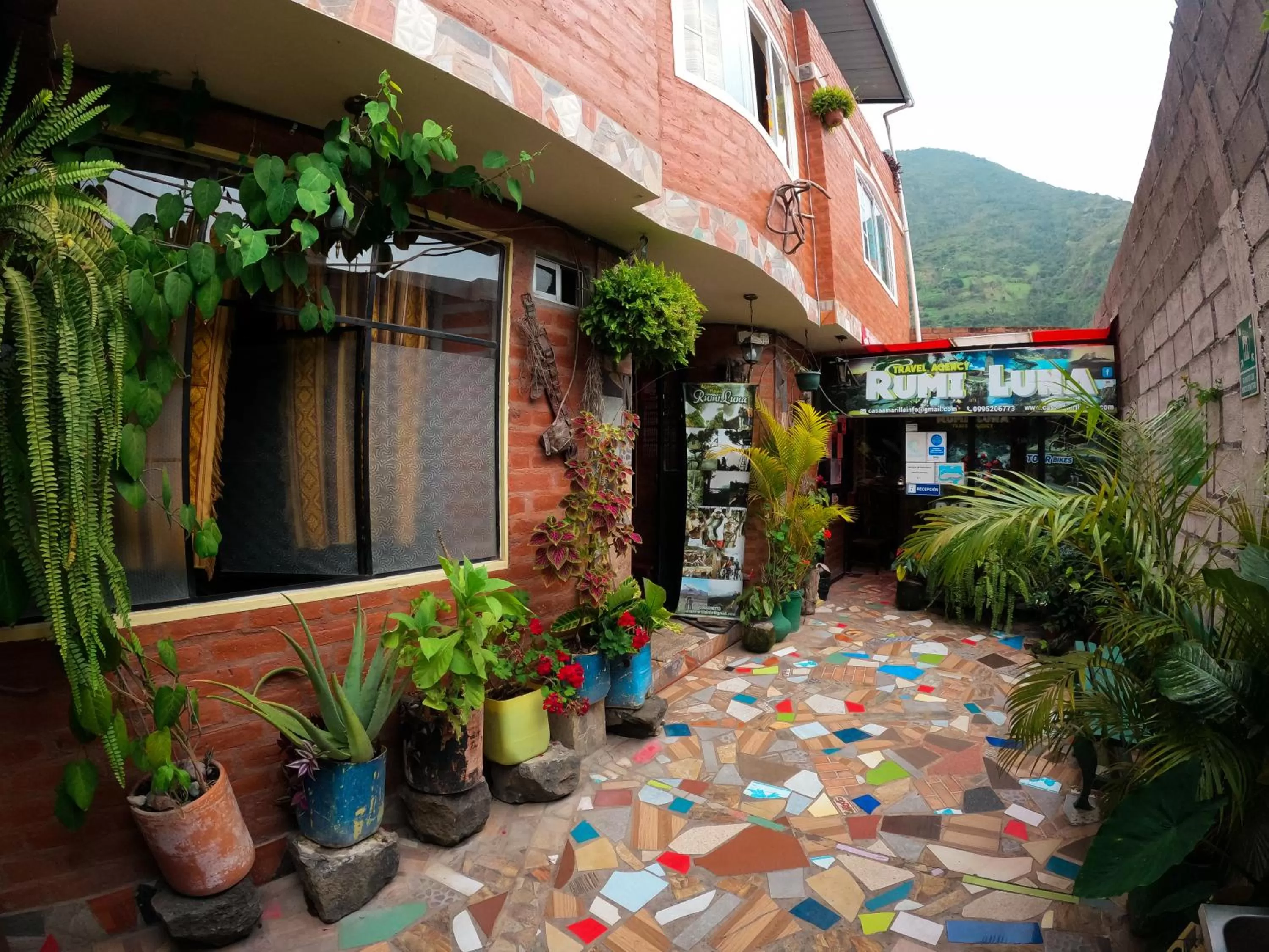 Hostal La Casa Amarilla City