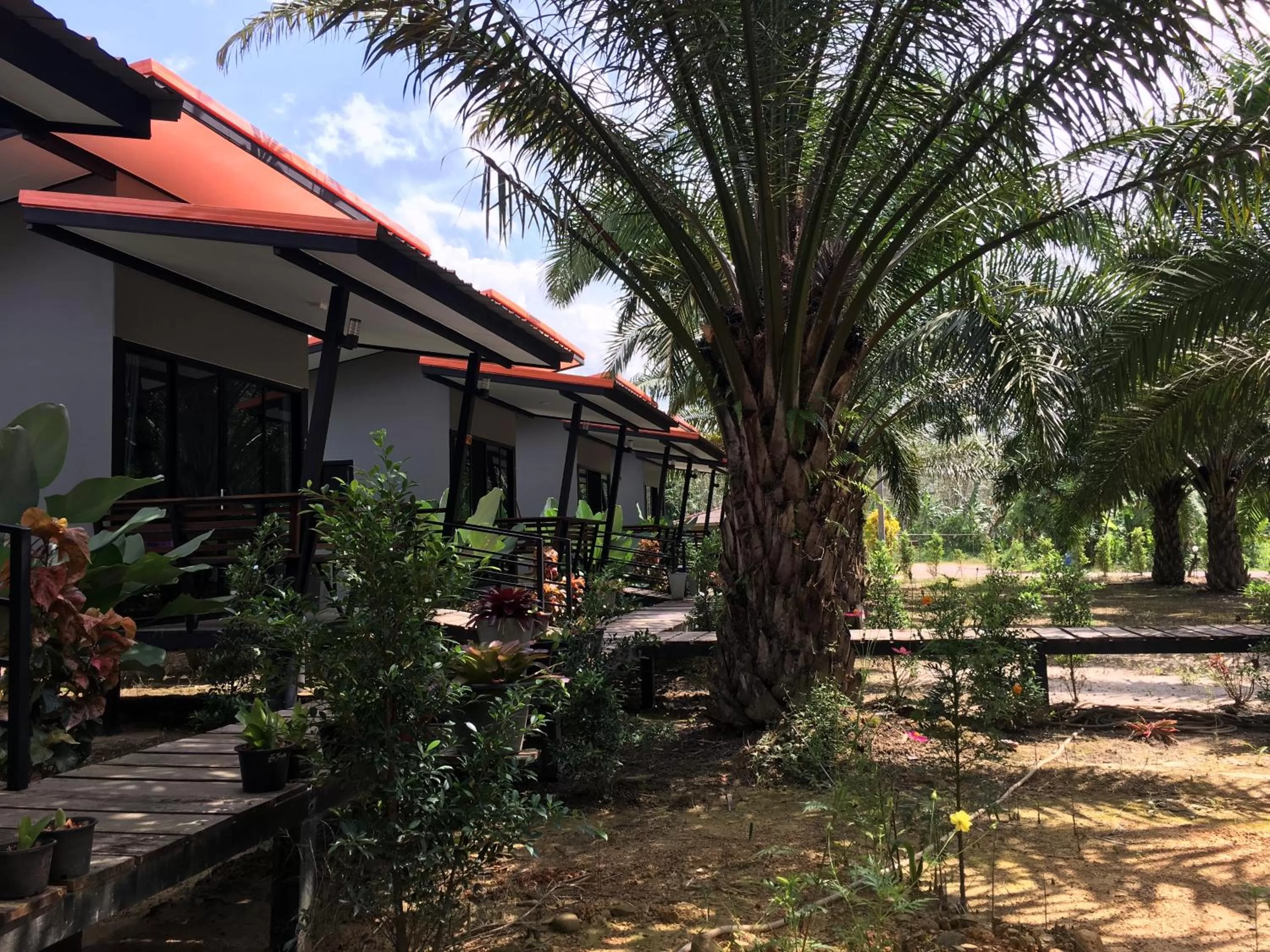 View (from property/room) in Khao Sok Residence Resort