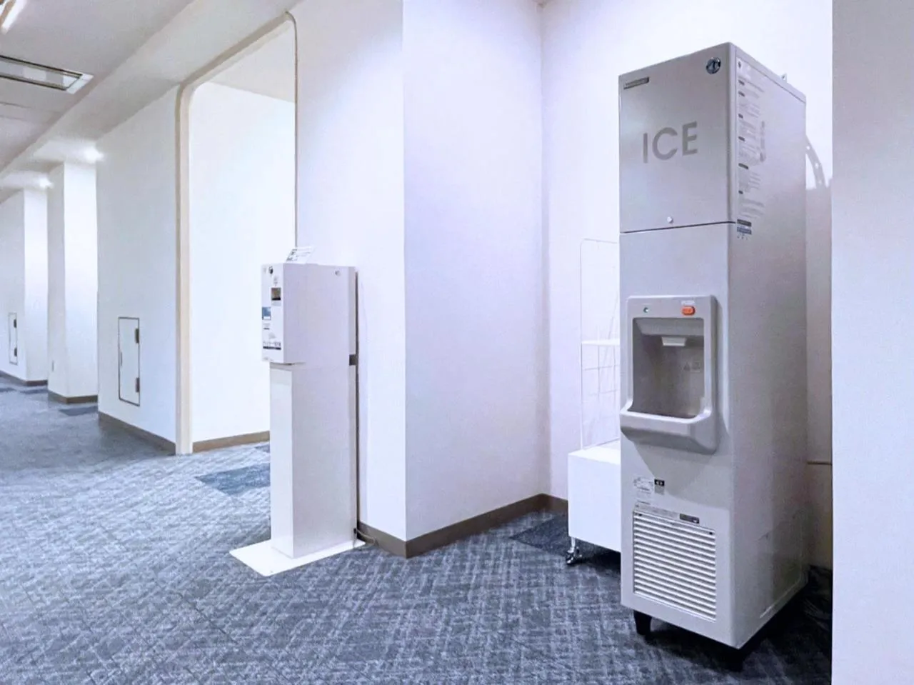 Area and facilities in Chisun Hotel Kamata