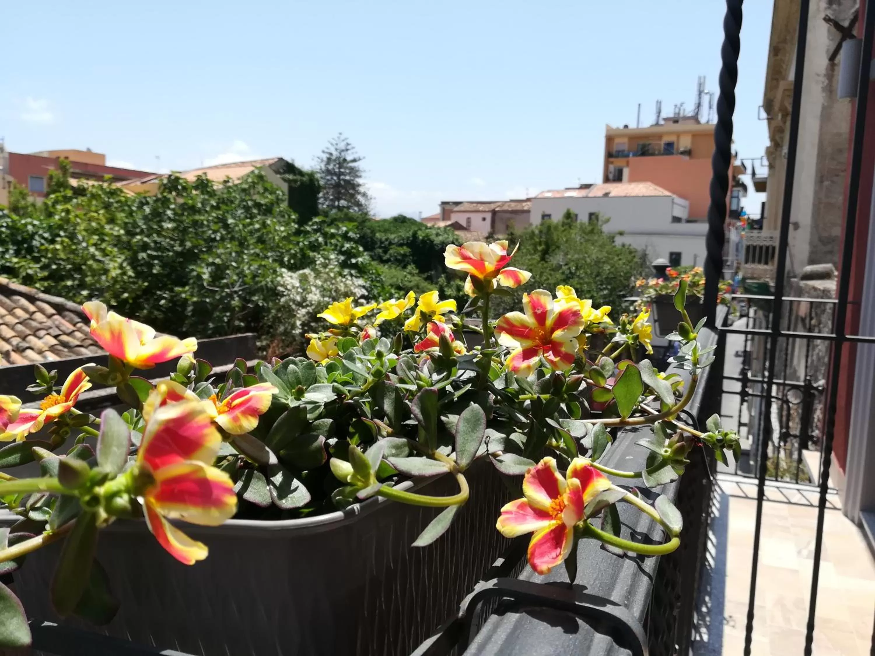 Balcony/Terrace in Alterego B&B