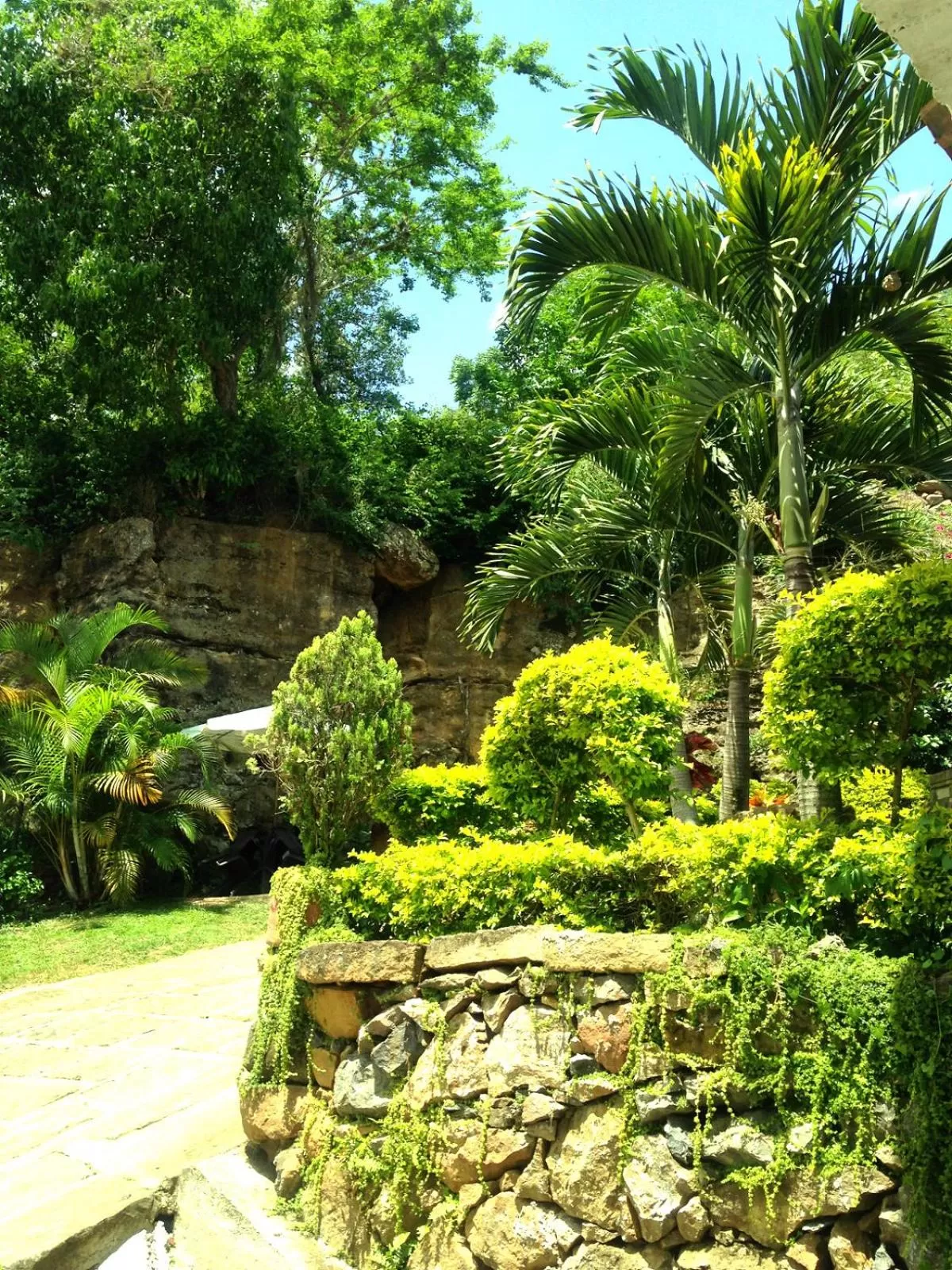 Garden in Hotel Terrazas de la Candelaria
