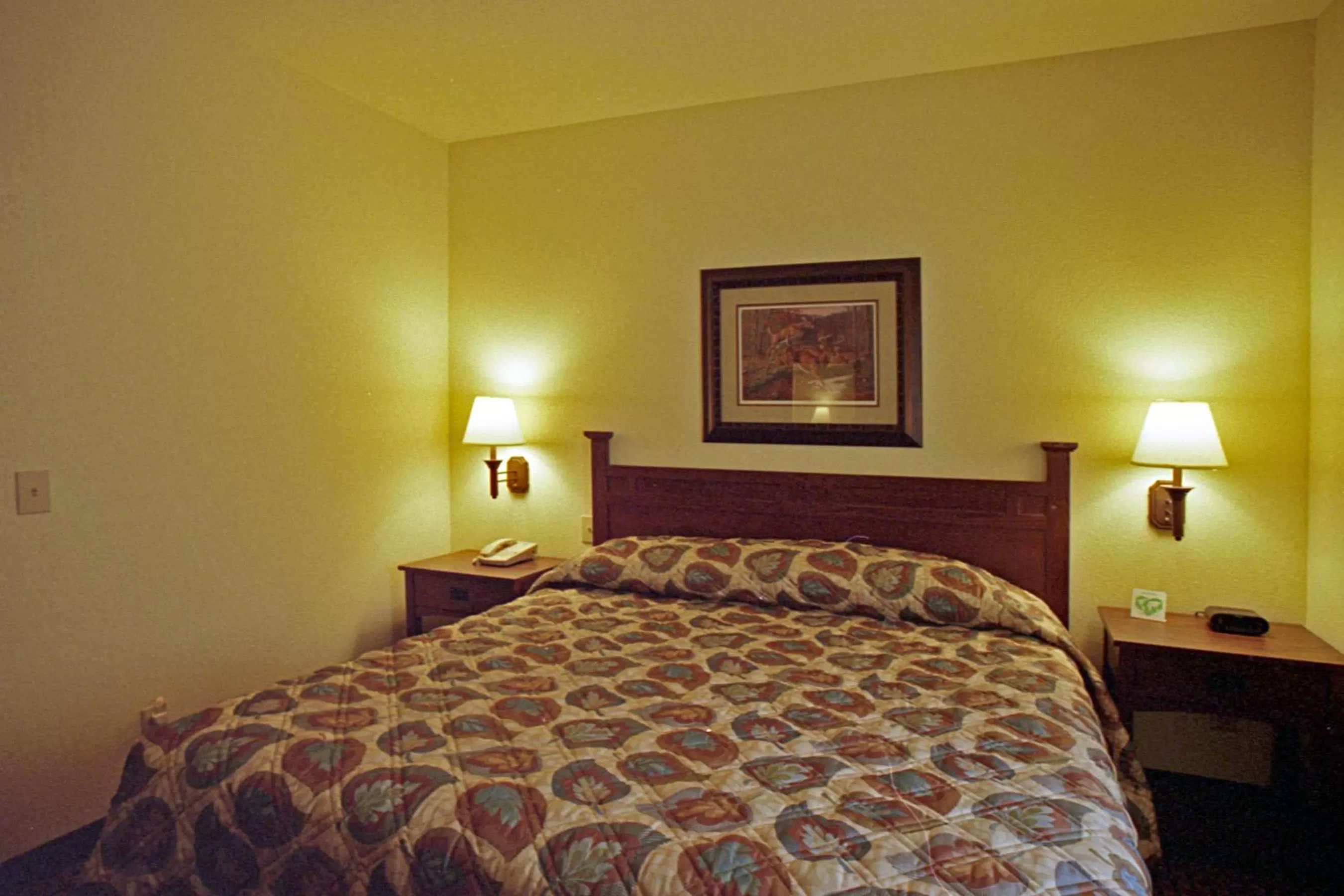 Bed in Mountain Inn & Suites Airport - Hendersonville