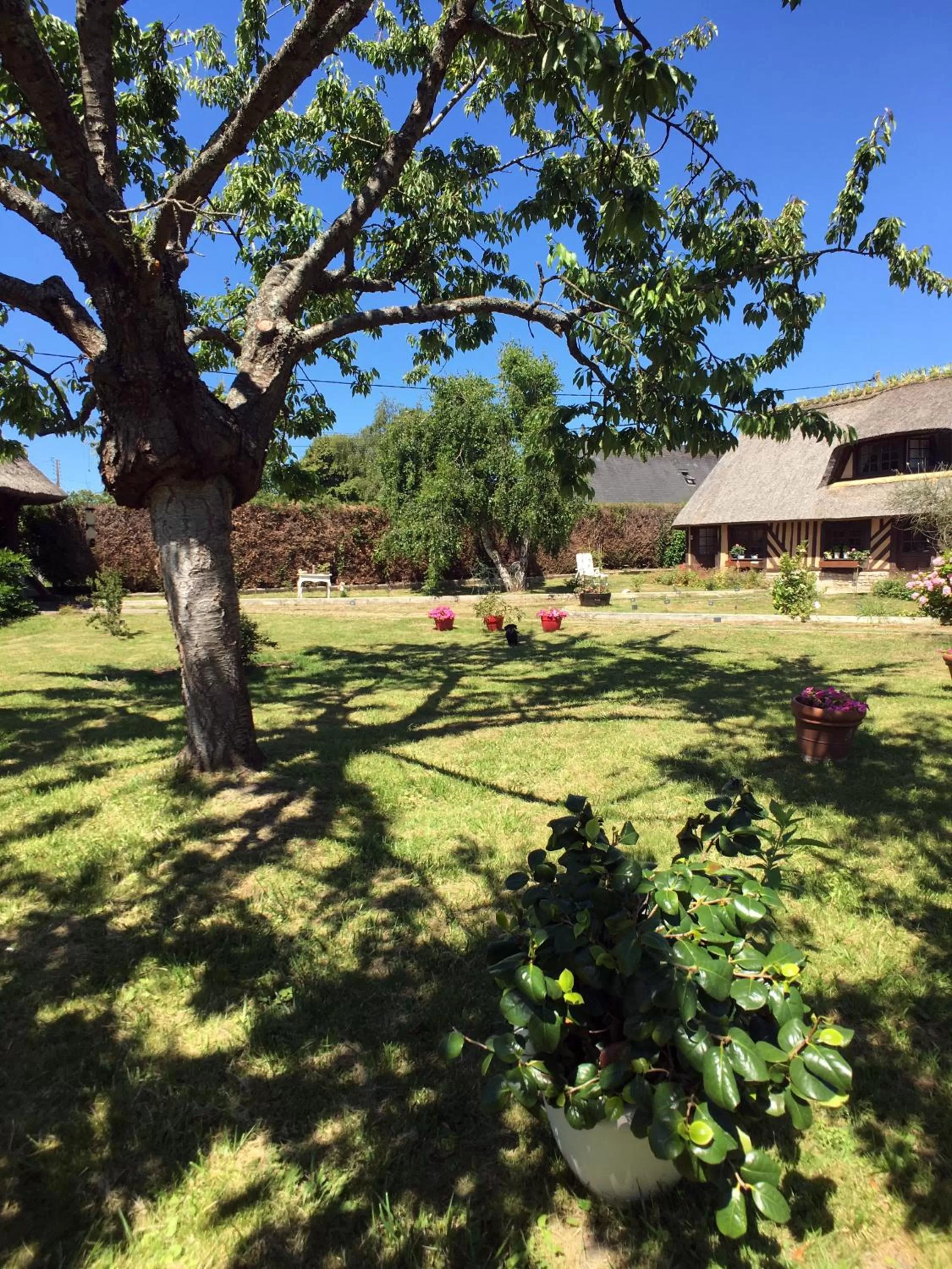 Garden in La Romance et la Romanesque