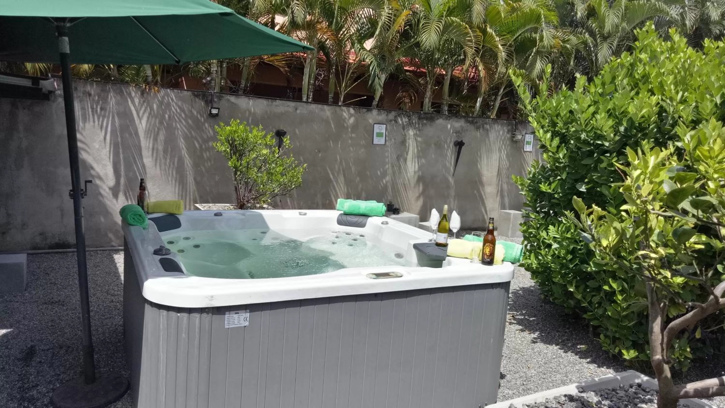 Area and facilities in Palms Villa