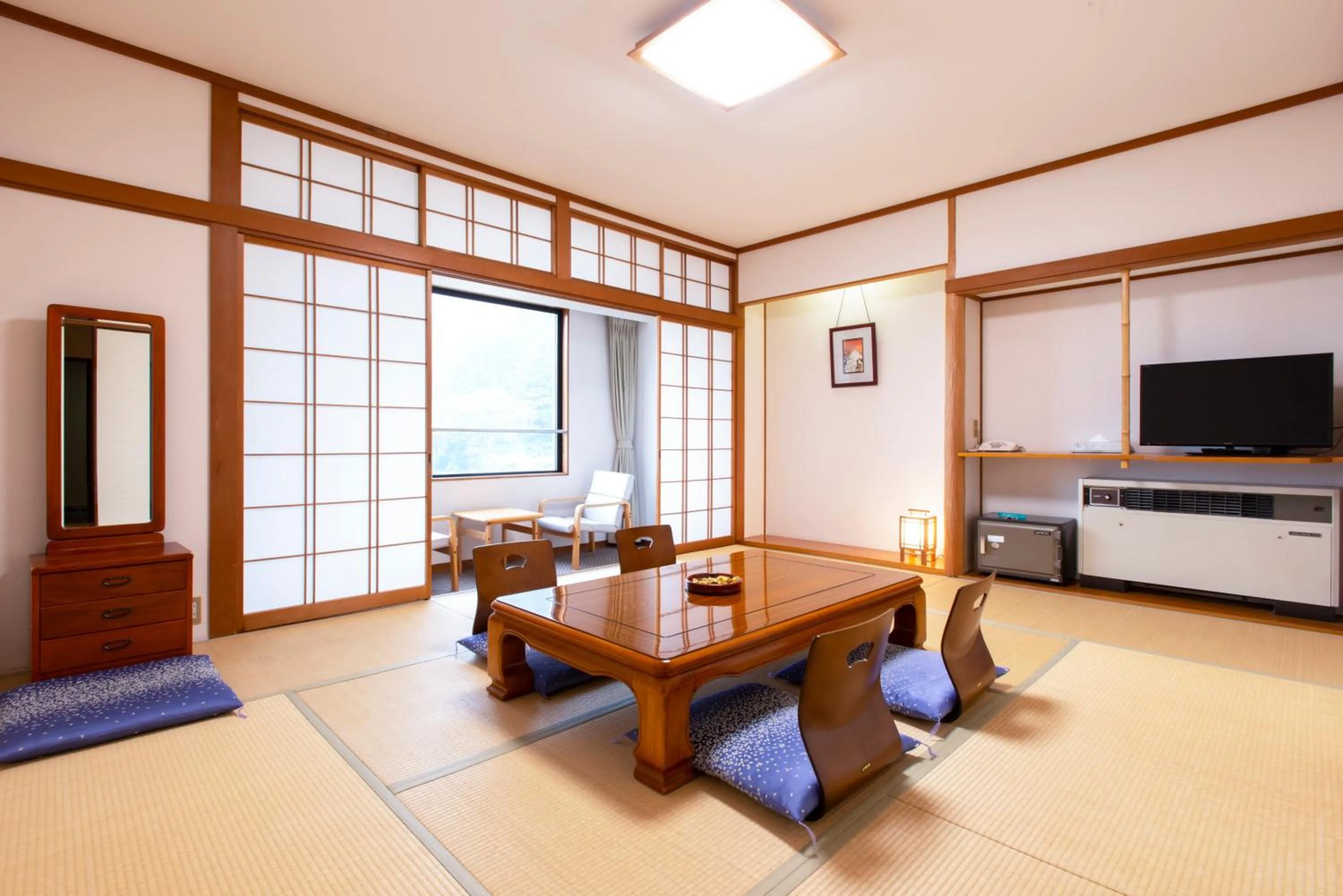 TV and multimedia in Yuzawa Toei Hotel