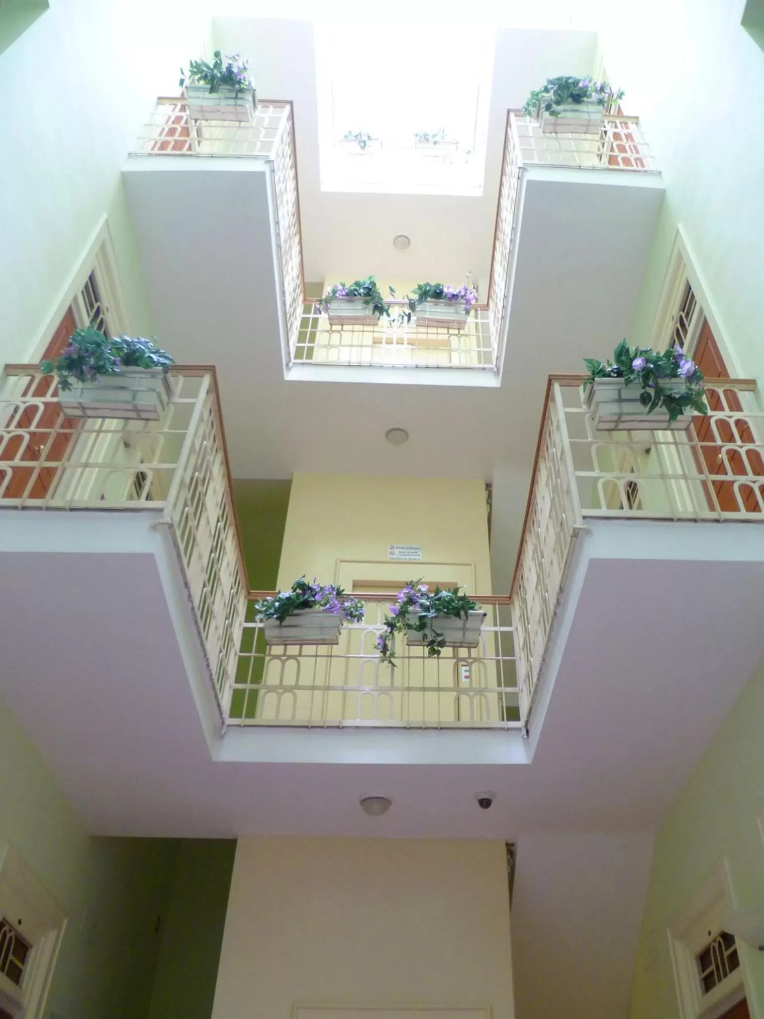 Other in Visa Residence