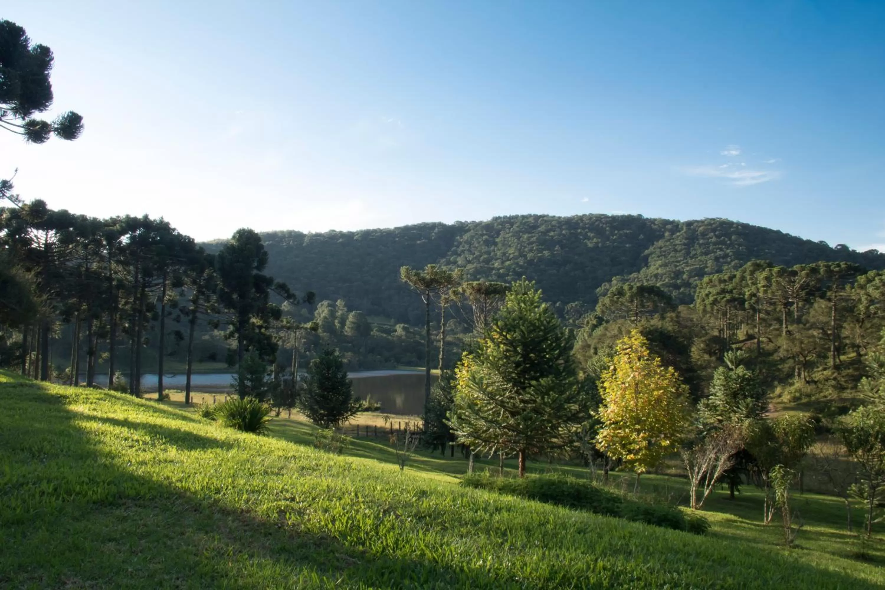 Lake view in Estalagem Tronador