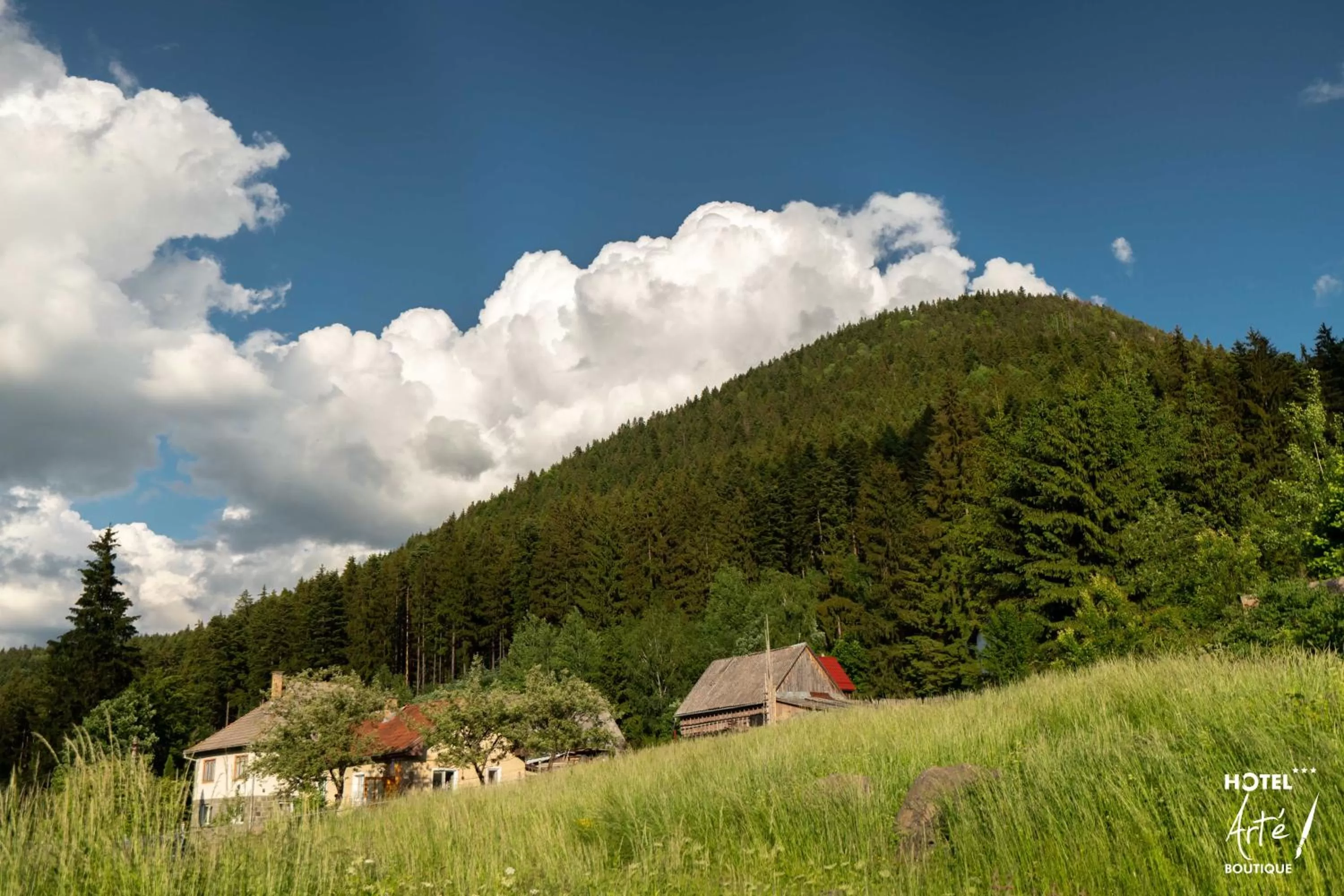 View (from property/room), Natural Landscape in Art'e Boutique Hotel