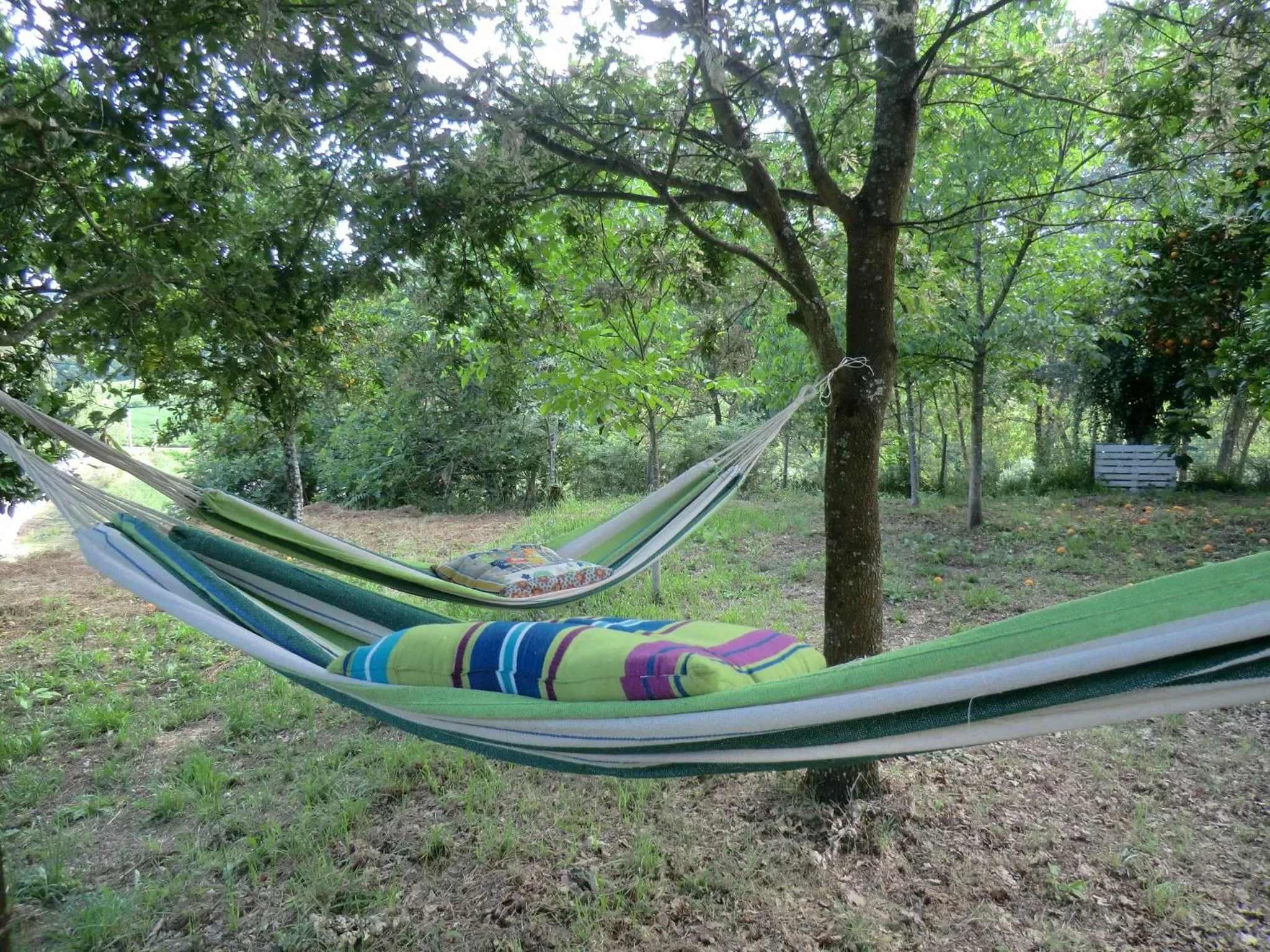 Garden view in VianasHome