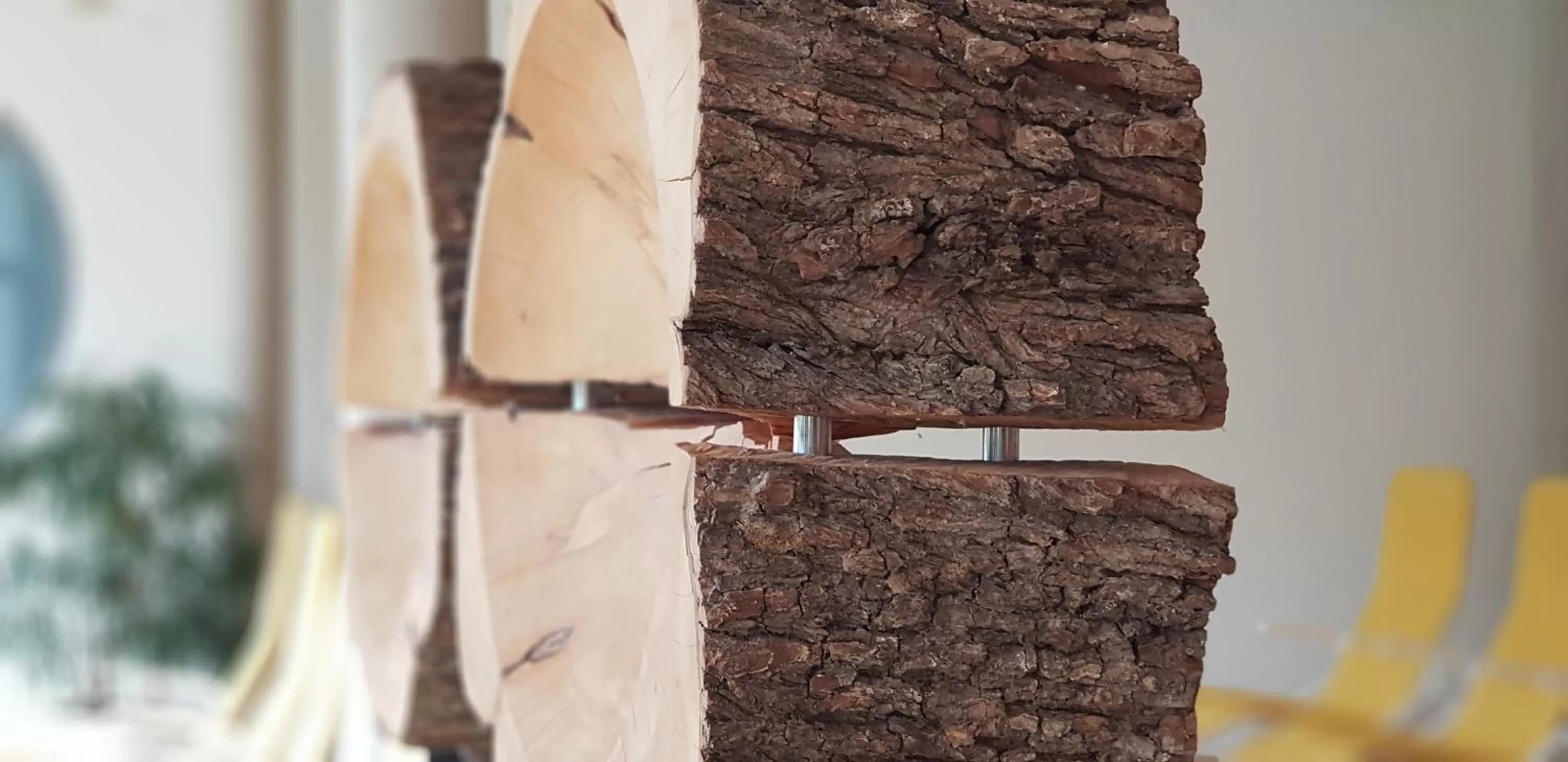 Spa and wellness centre/facilities in feelMOOR - Gesundresort Bad Wurzach