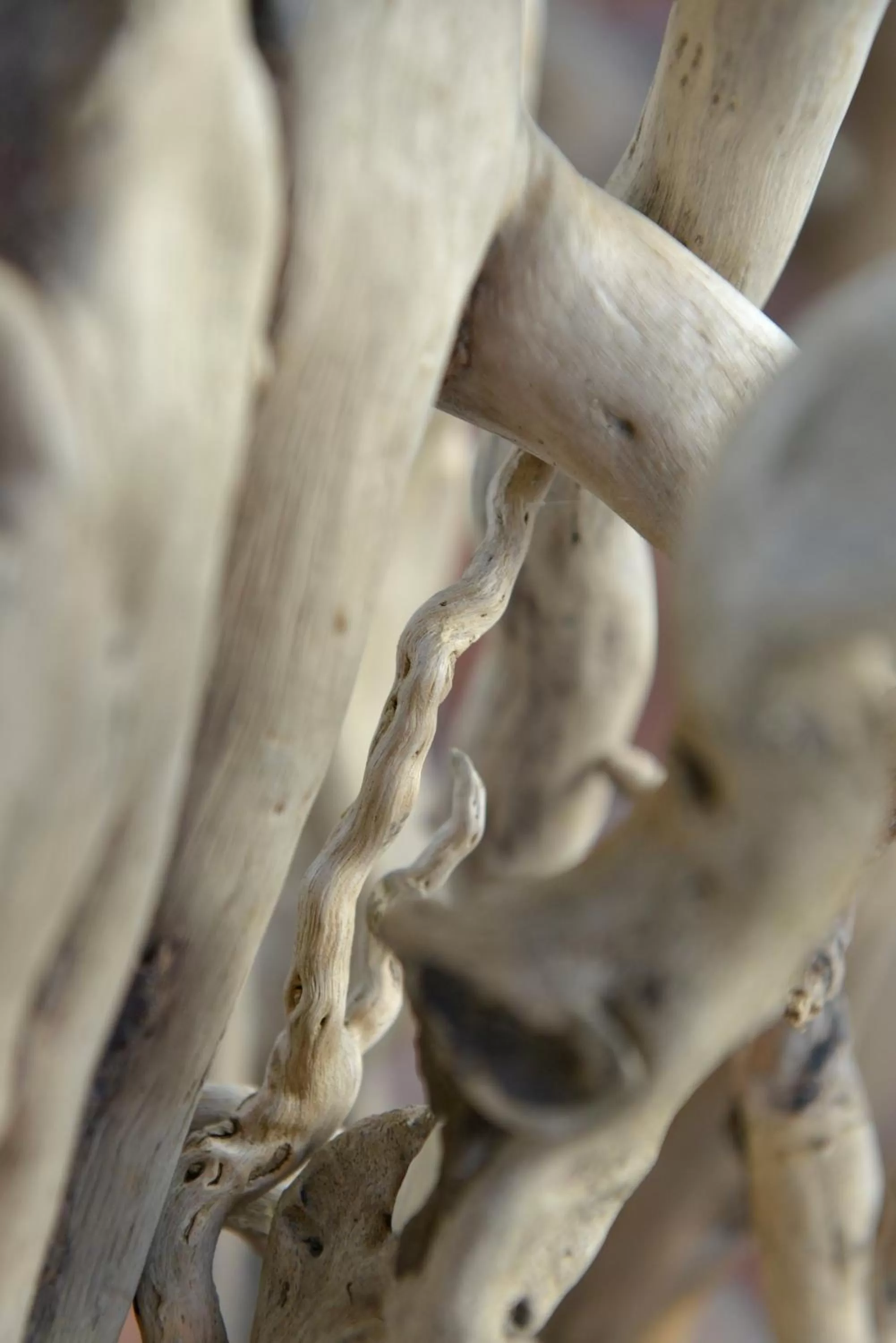 Mas de la Grenouillère Hôtel et Centre équestre en pleine nature