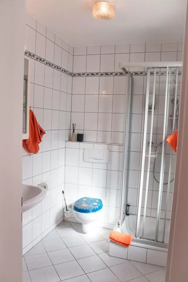 Shower in Landhotel Weißer Hahn