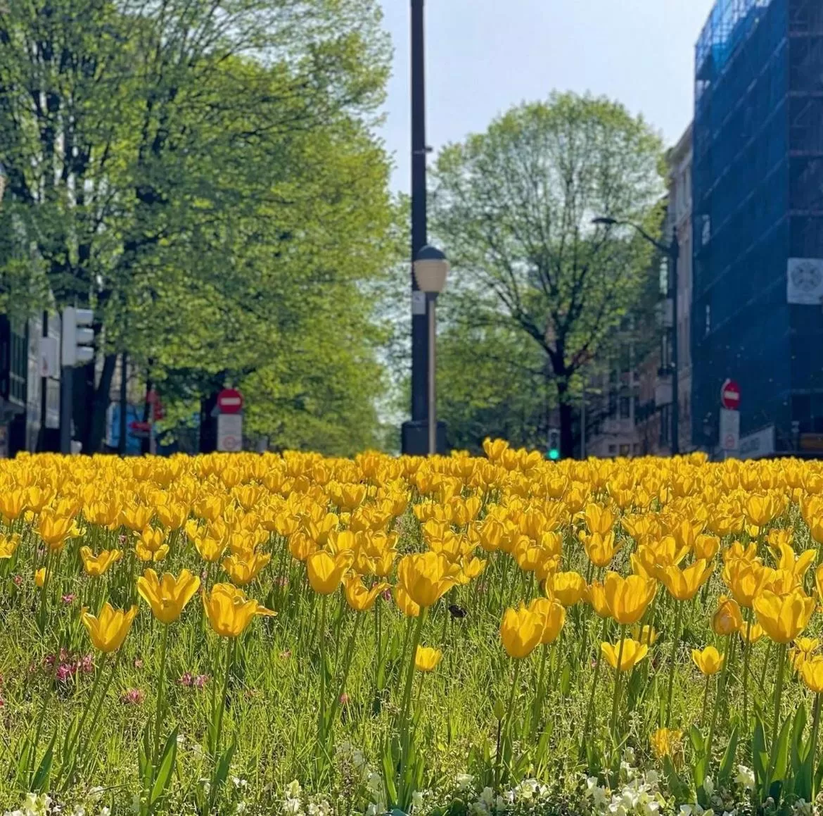 Natural landscape in Hotel Lidar