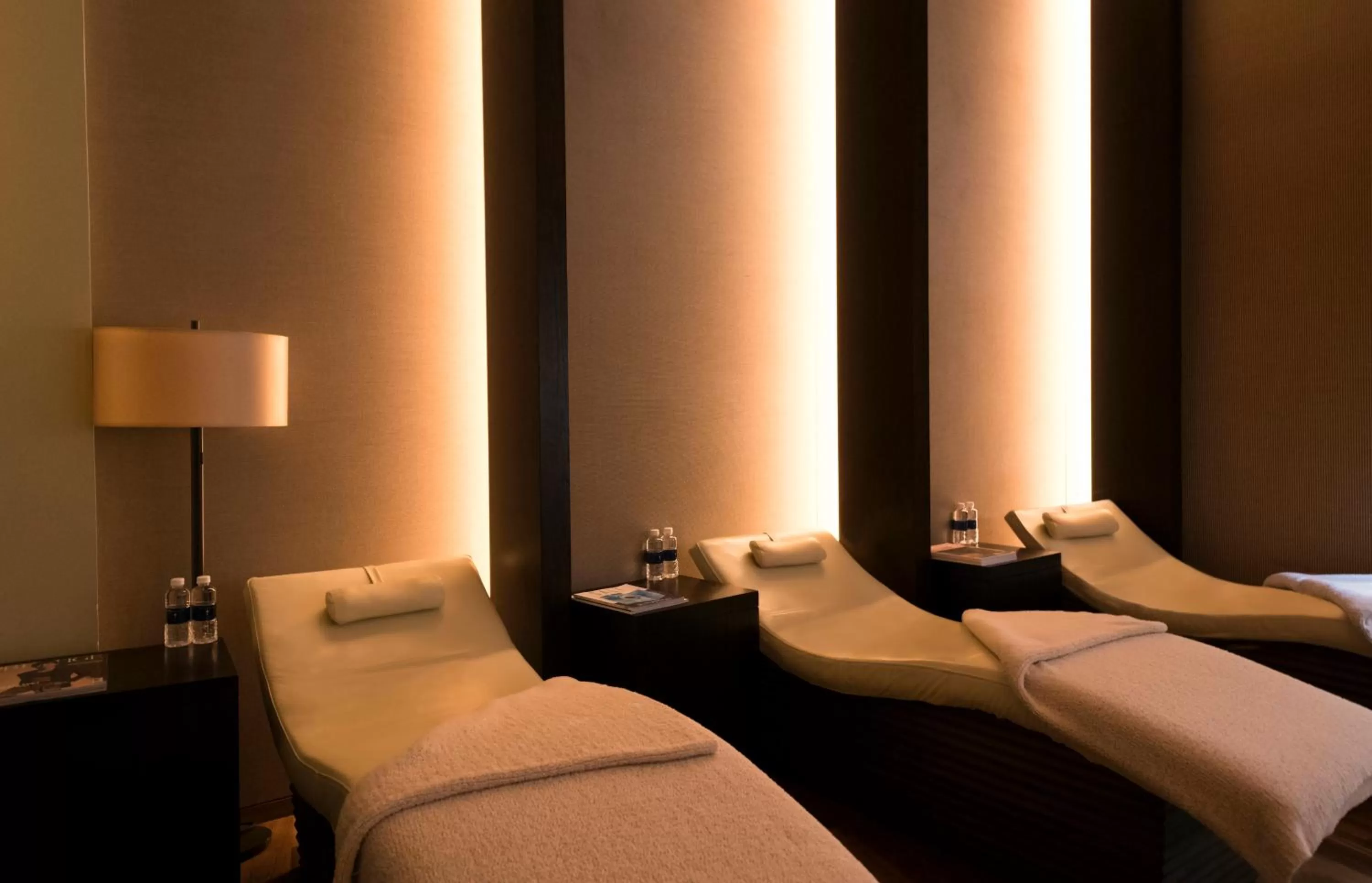 Spa and wellness centre/facilities, Bed in Capella Singapore