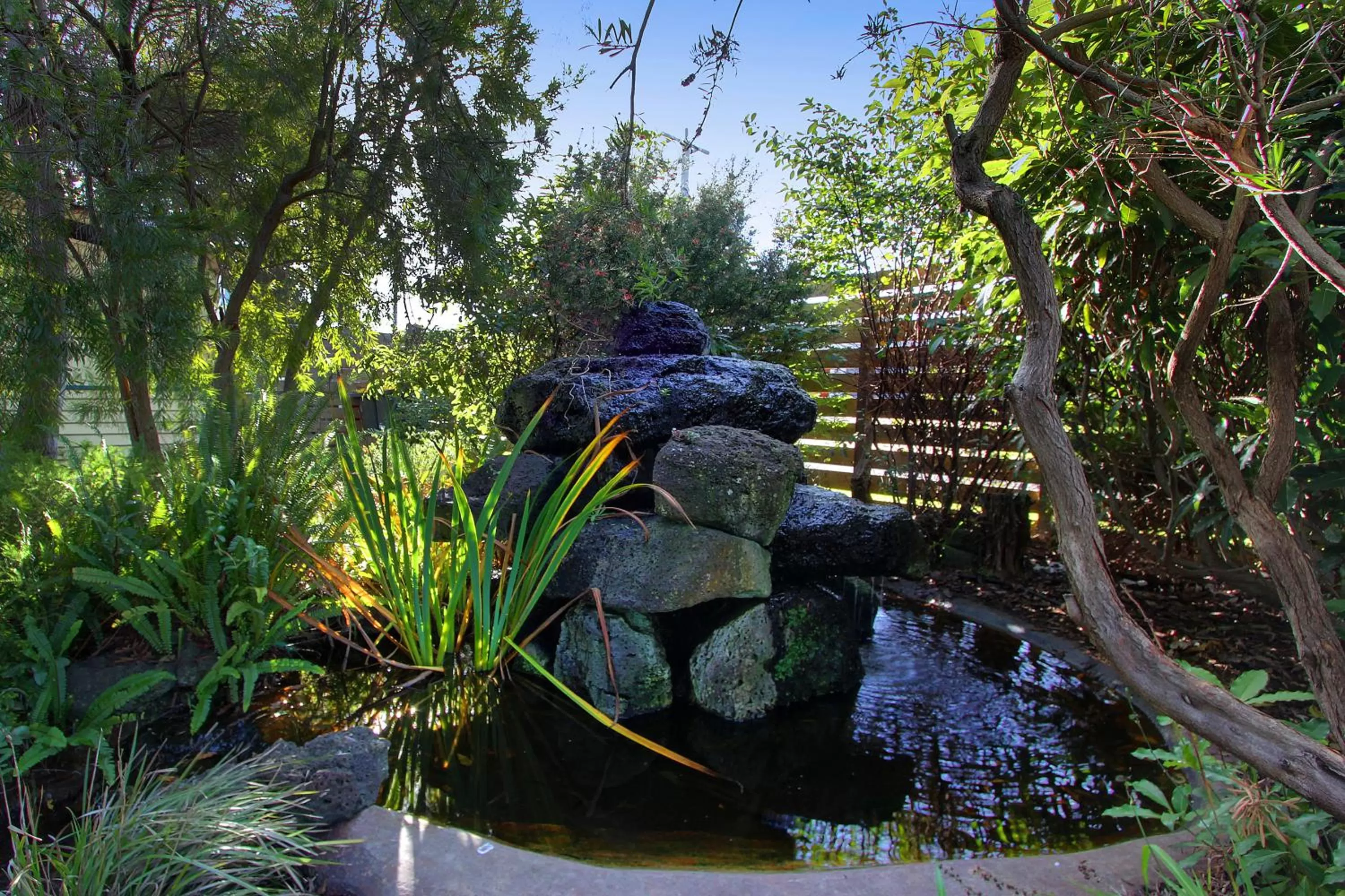 Garden in Amaroo Park