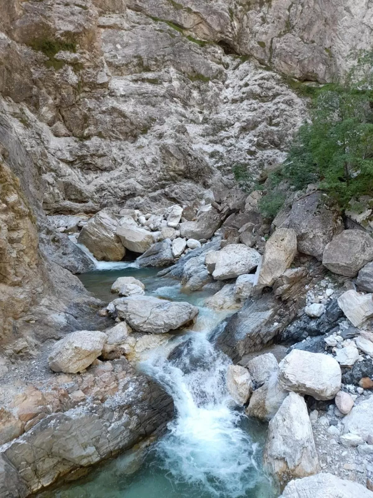 Gasthaus zum Fuchs - Familie Andrä