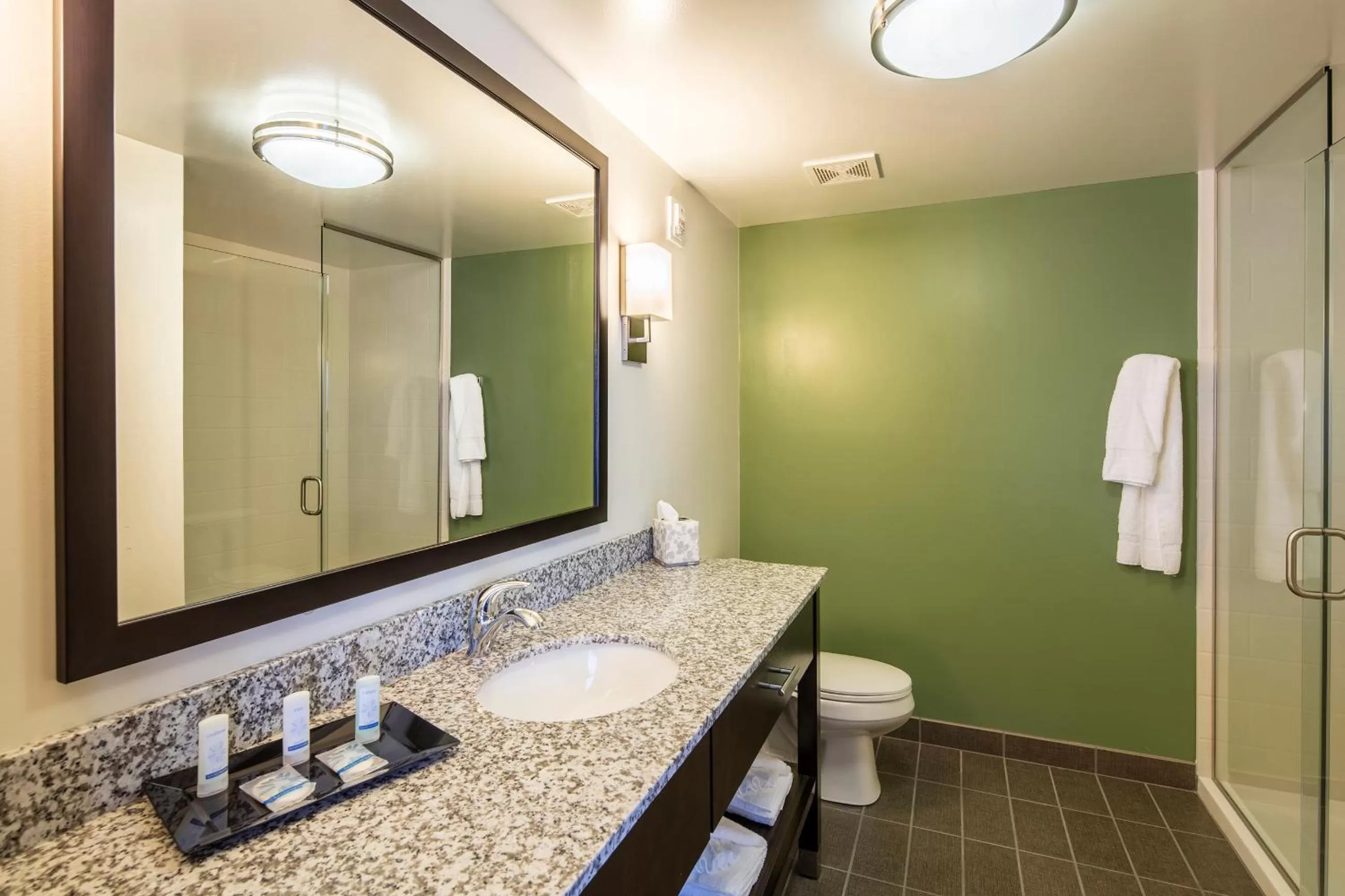 Shower in Sleep Inn & Suites Syracuse Airport