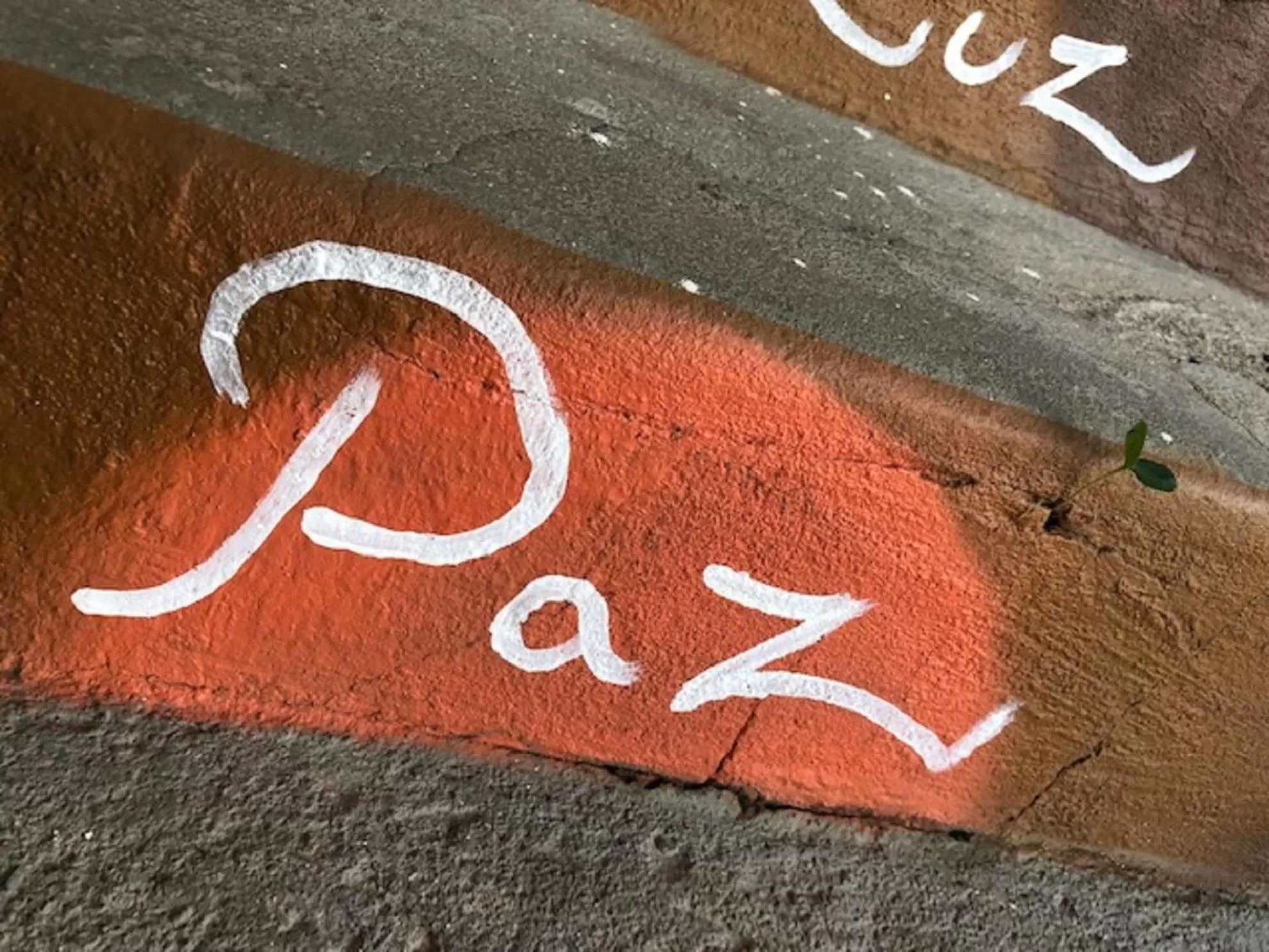 Day in Hostel Das Canárias